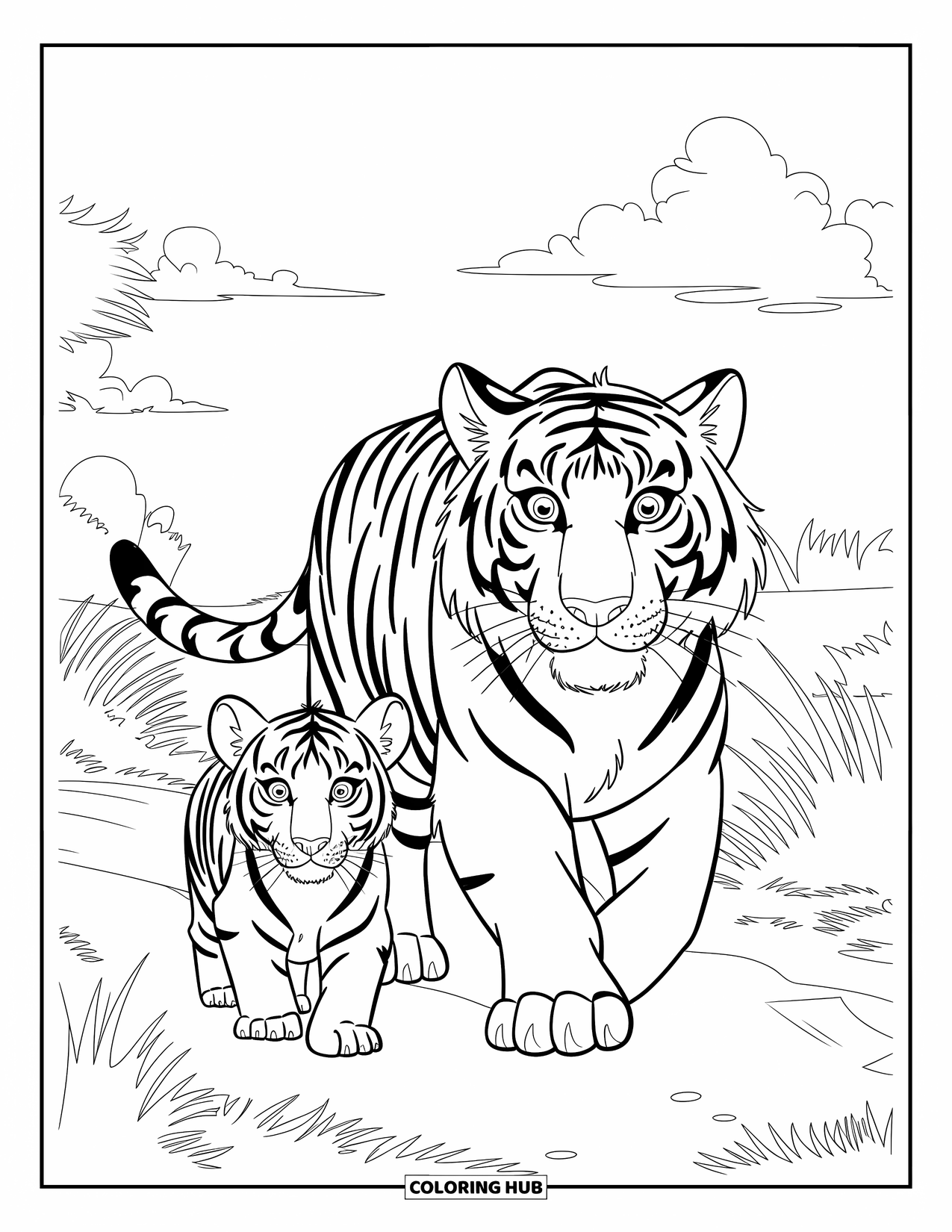 Disegno di tigre da colorare per bambini: Una tigre e il suo cucciolo che vagano attraverso una savana erbosa, con gli occhi luminosi e curiosi