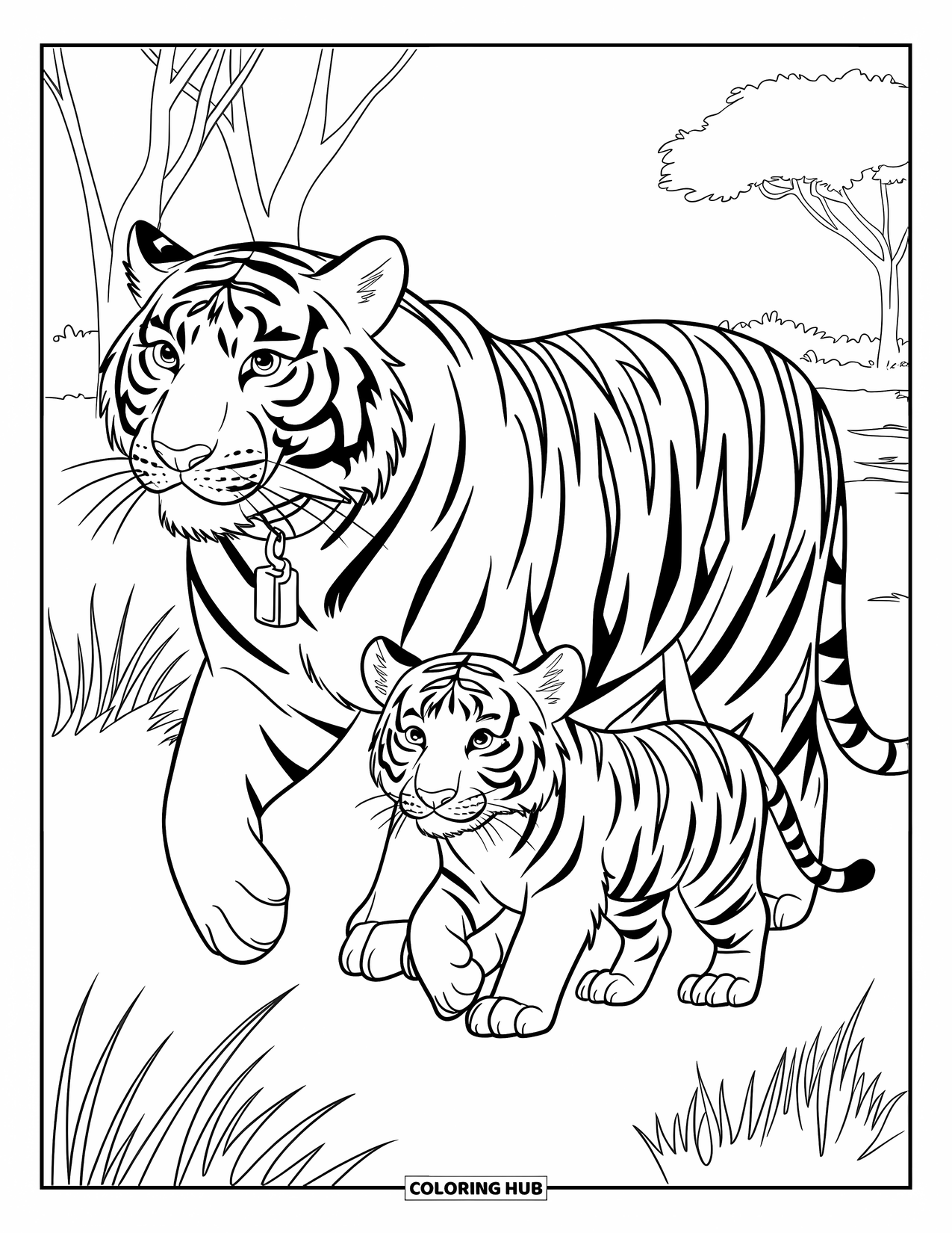 Disegno di tigre da colorare per bambini: Una tigre che guida il suo cucciolo attraverso le praterie, con le code che si muovono all'unisono