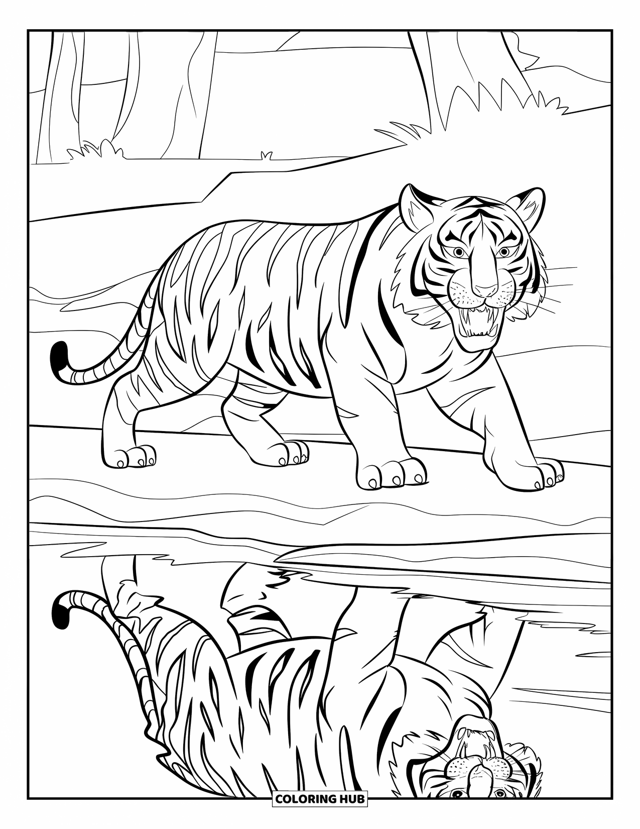 Disegno di tigre da colorare per bambini: Una tigre che cammina lungo la riva di un fiume, la sua forma potente riflessa nel flusso del torrente