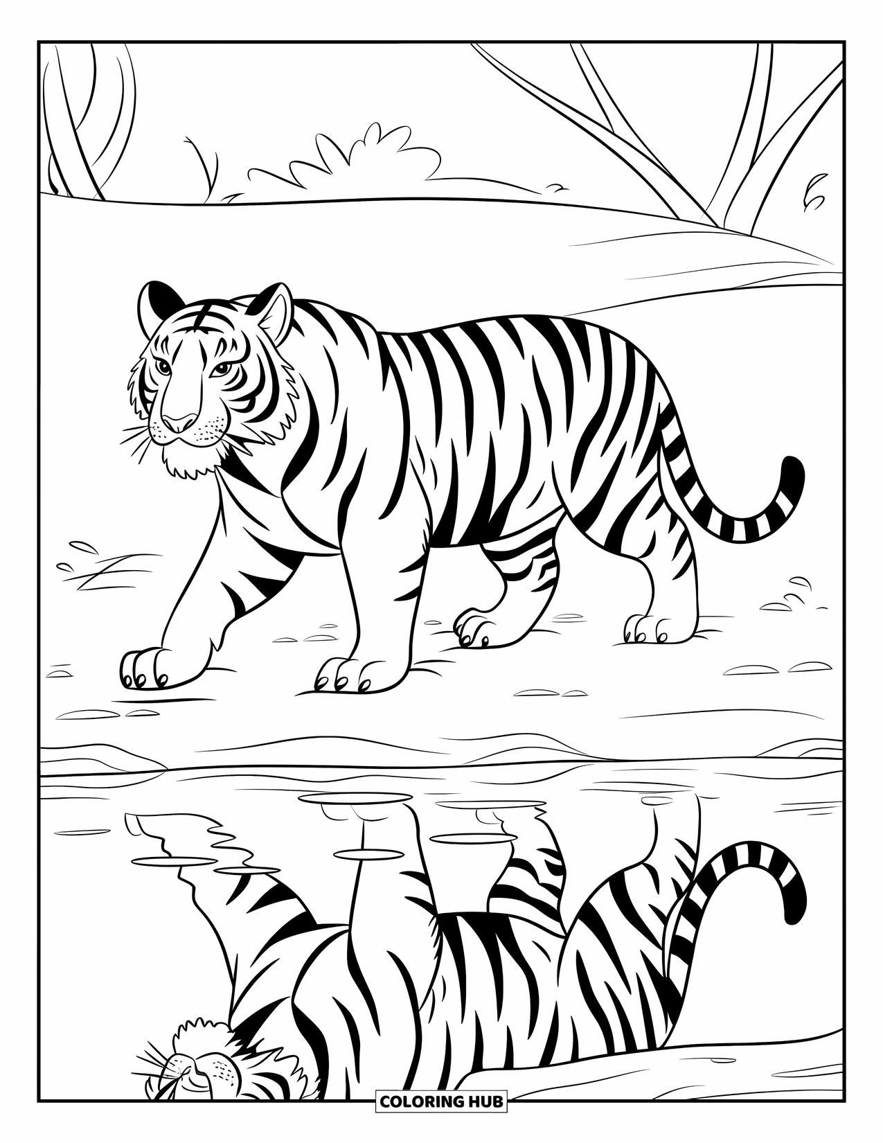 Disegno di tigre da colorare per bambini: Una tigre che cammina con sicurezza lungo la riva di un fiume, con il suo riflesso che increspa nell'acqua