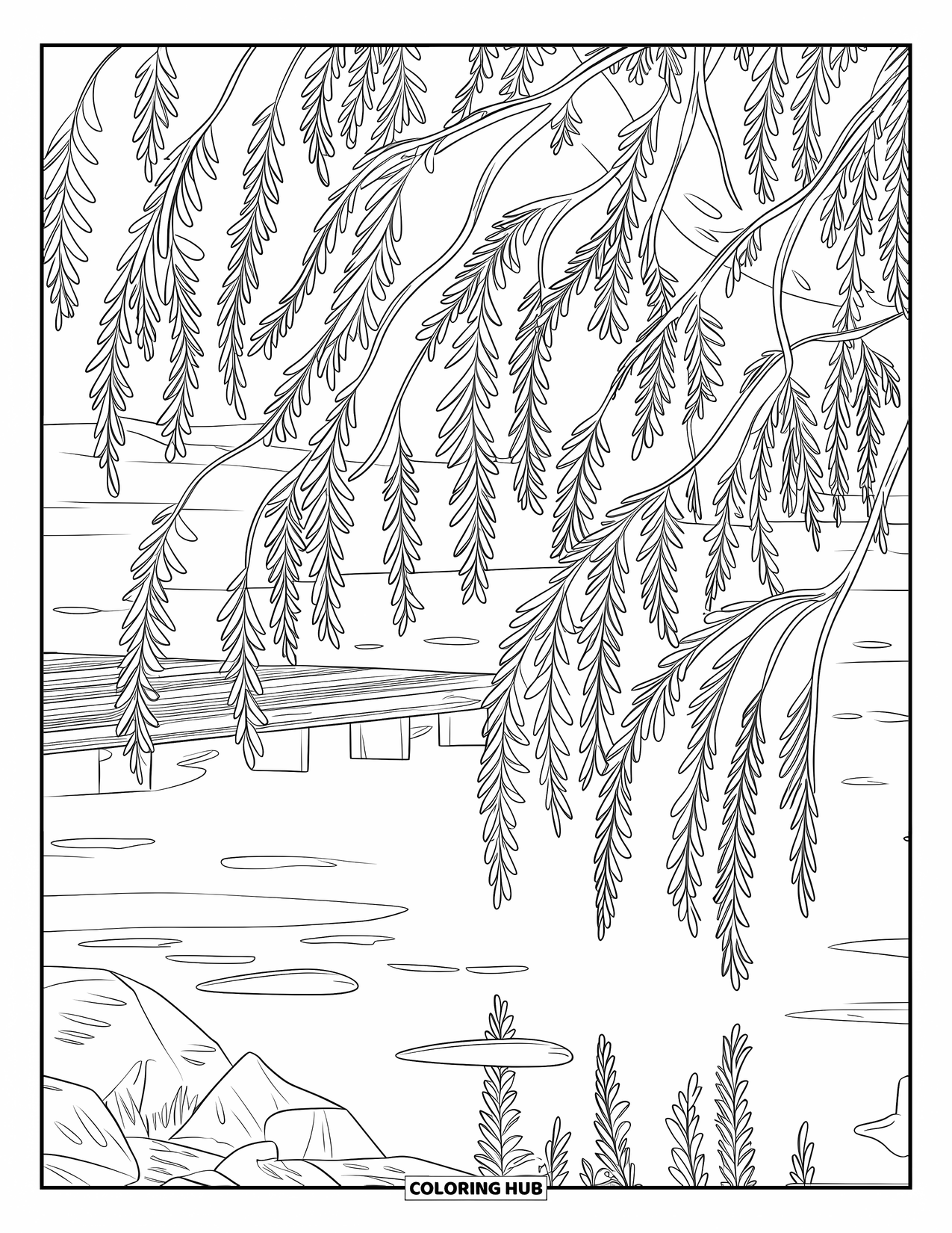 Desen de colorat cu copac pentru adulți: Un salcie cu ramuri curgătoare, reflexii pe apă și o platformă rustică și stânci