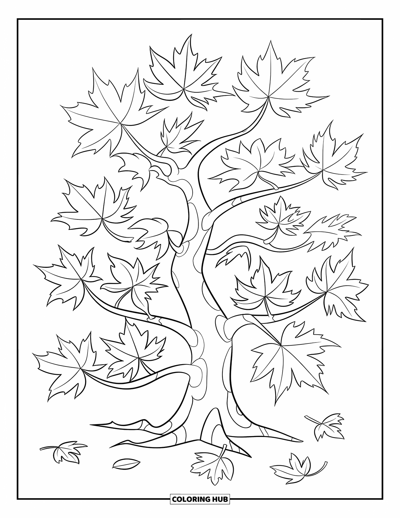 Desen de colorat cu copac pentru copii: Un arțar cu frunze unice, câteva împrăștiate în jurul bazei