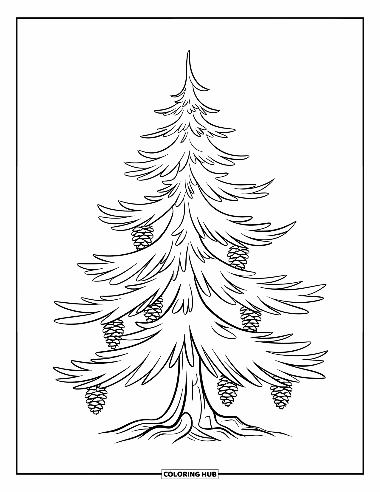 Desen de colorat cu copac pentru copii: Un pin cu ramuri stratificate și conuri de pin atârnate, cu un trunchi neted