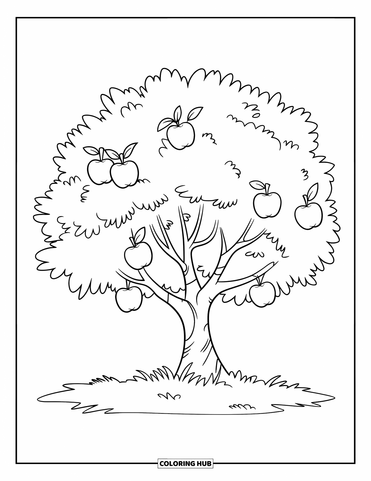 Desen de colorat cu copac pentru copii: Un măr simplu cu mere, ramuri și un teren cu iarbă