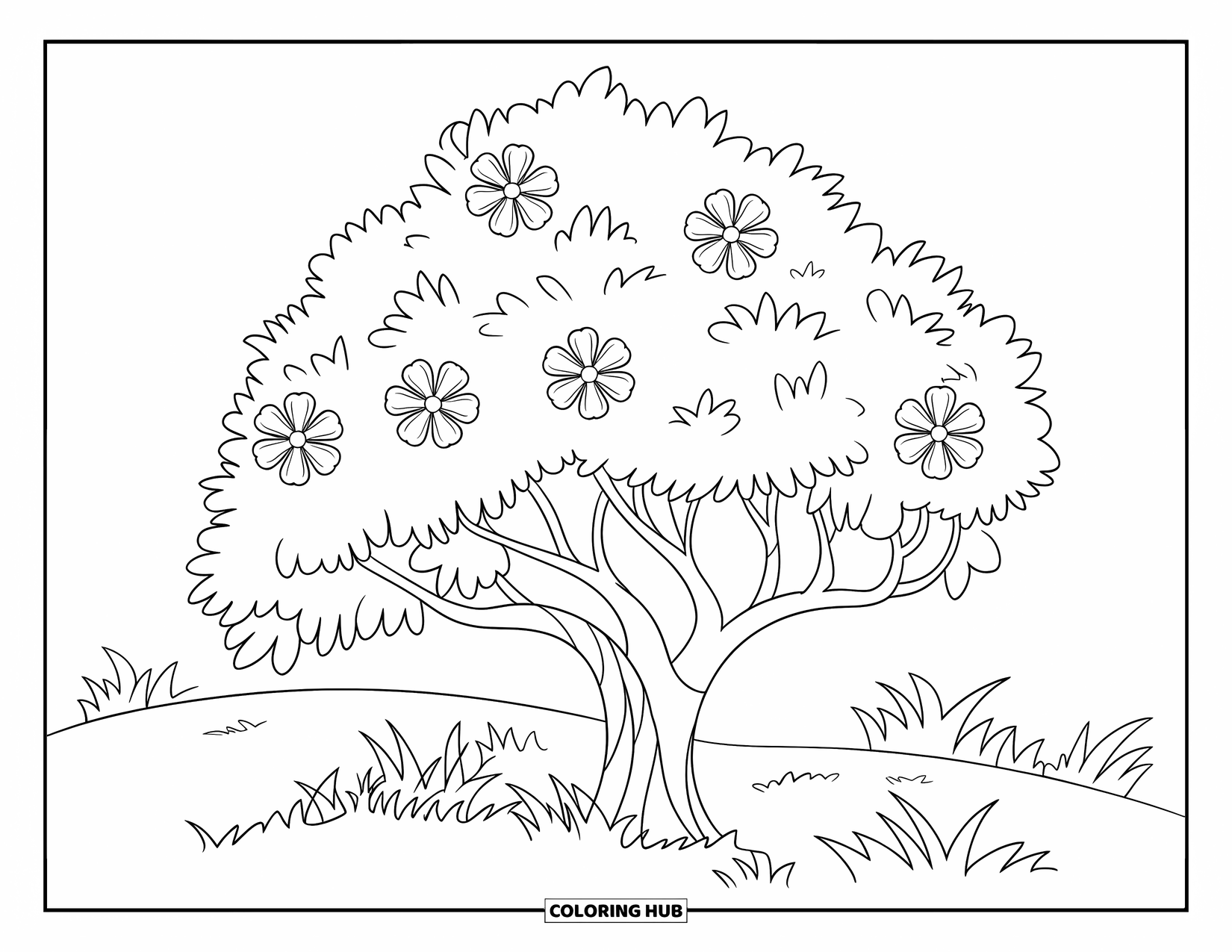 Desen de colorat cu copac pentru copii: Un copac cu flori înflorite într-un câmp cu iarbă, cu contururi îndrăznețe