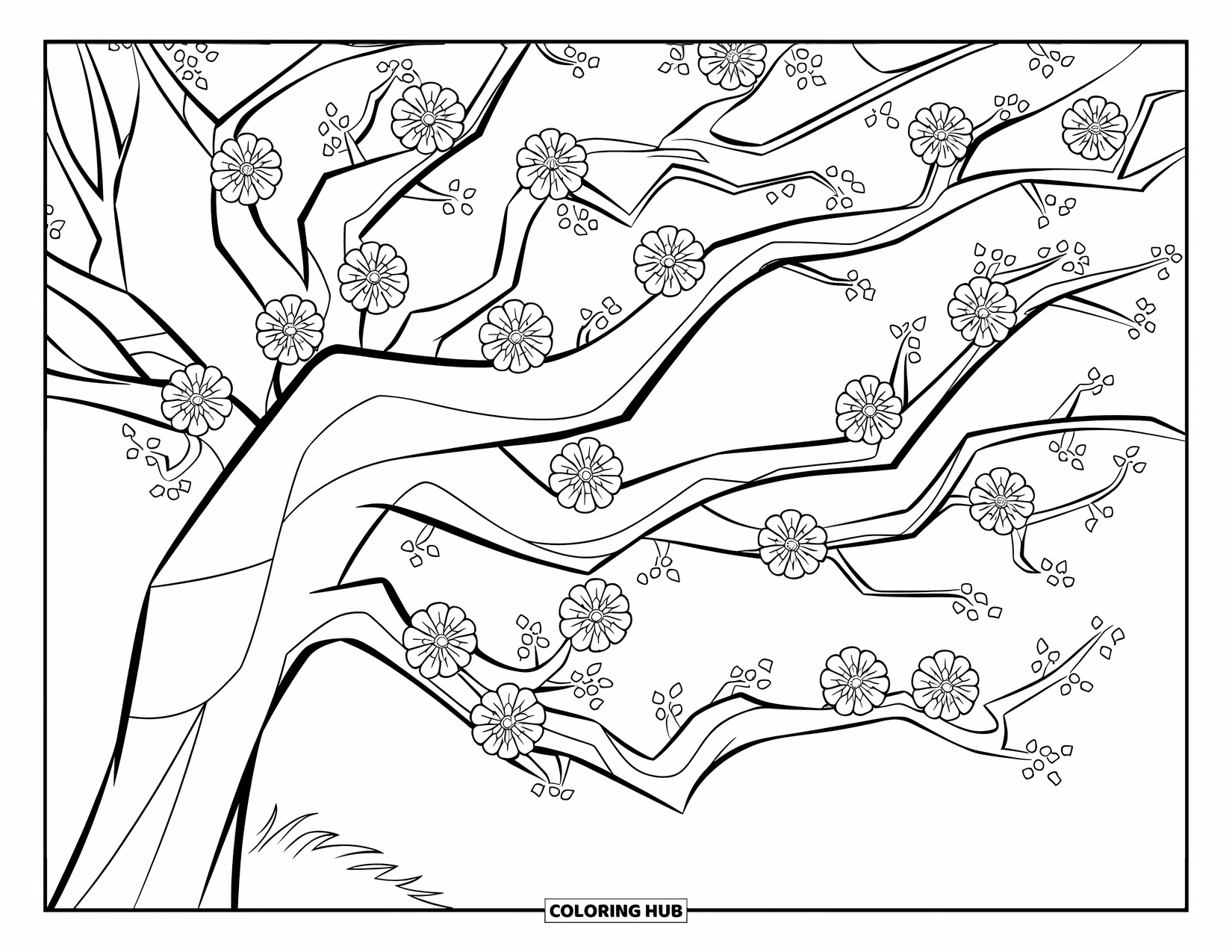 Desen de colorat cu copac pentru copii: Un copac cu flori înflorite uniform distanțate, trunchi gros și ramuri robuste
