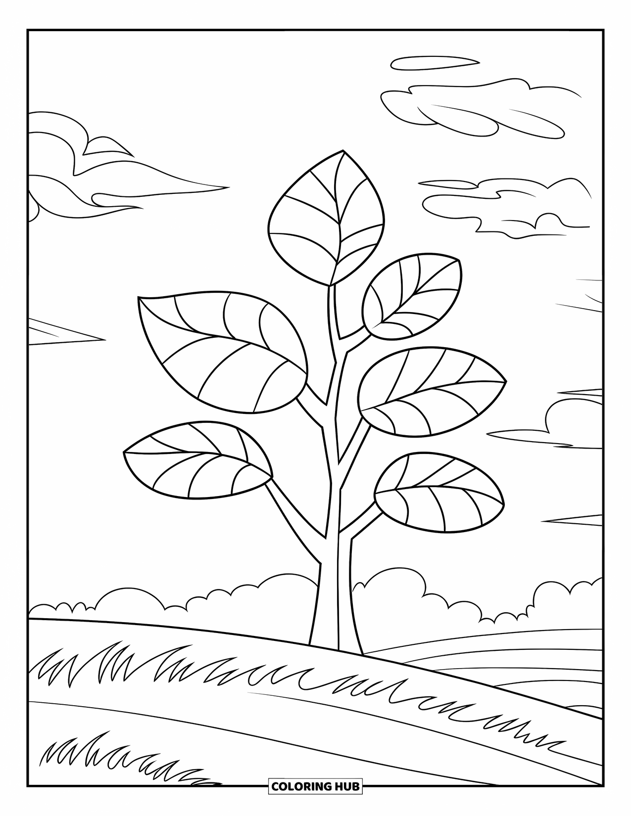 Desen de colorat cu copac pentru copii: Un copac cu cinci frunze mari, conturat pentru colorare ușoară, într-un câmp cu iarbă sub un cer senin