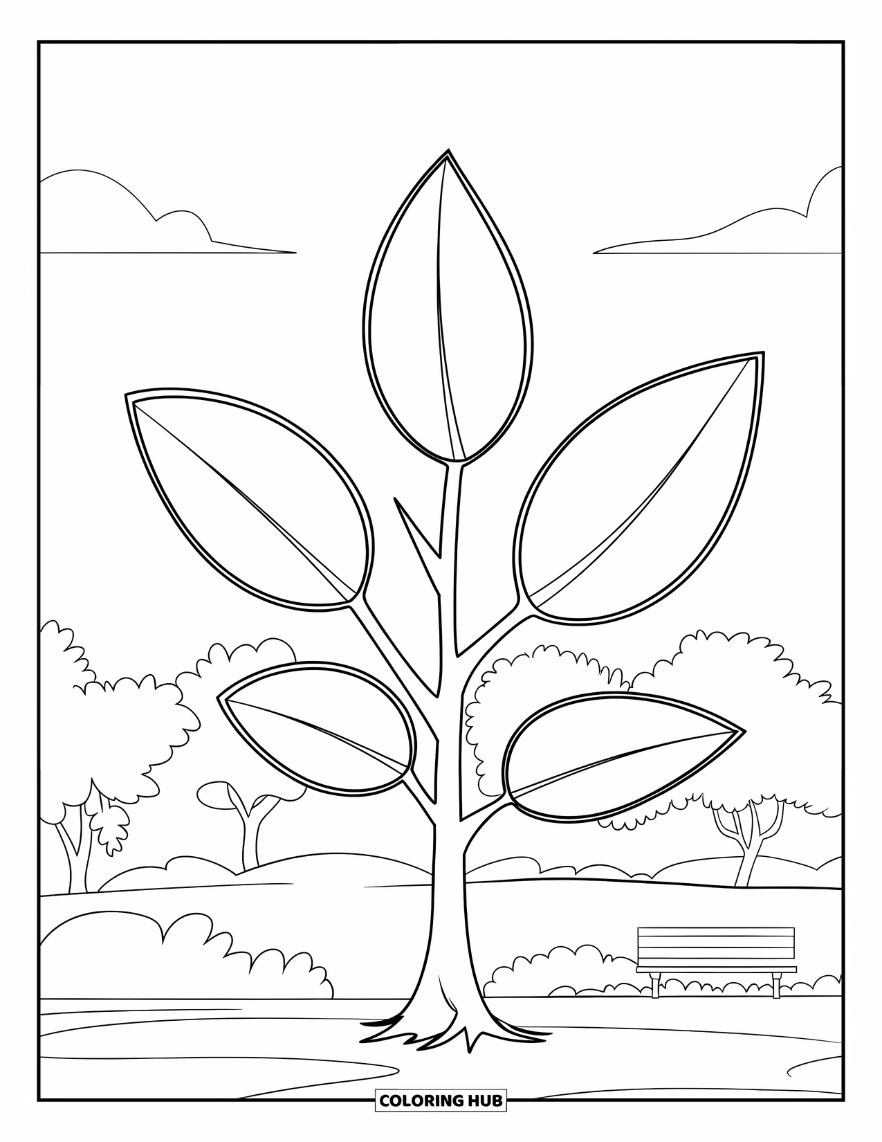 Desen de colorat cu copac pentru copii: Un copac cu cinci frunze mari, conturat pentru colorare ușoară, într-un parc cu o bancă