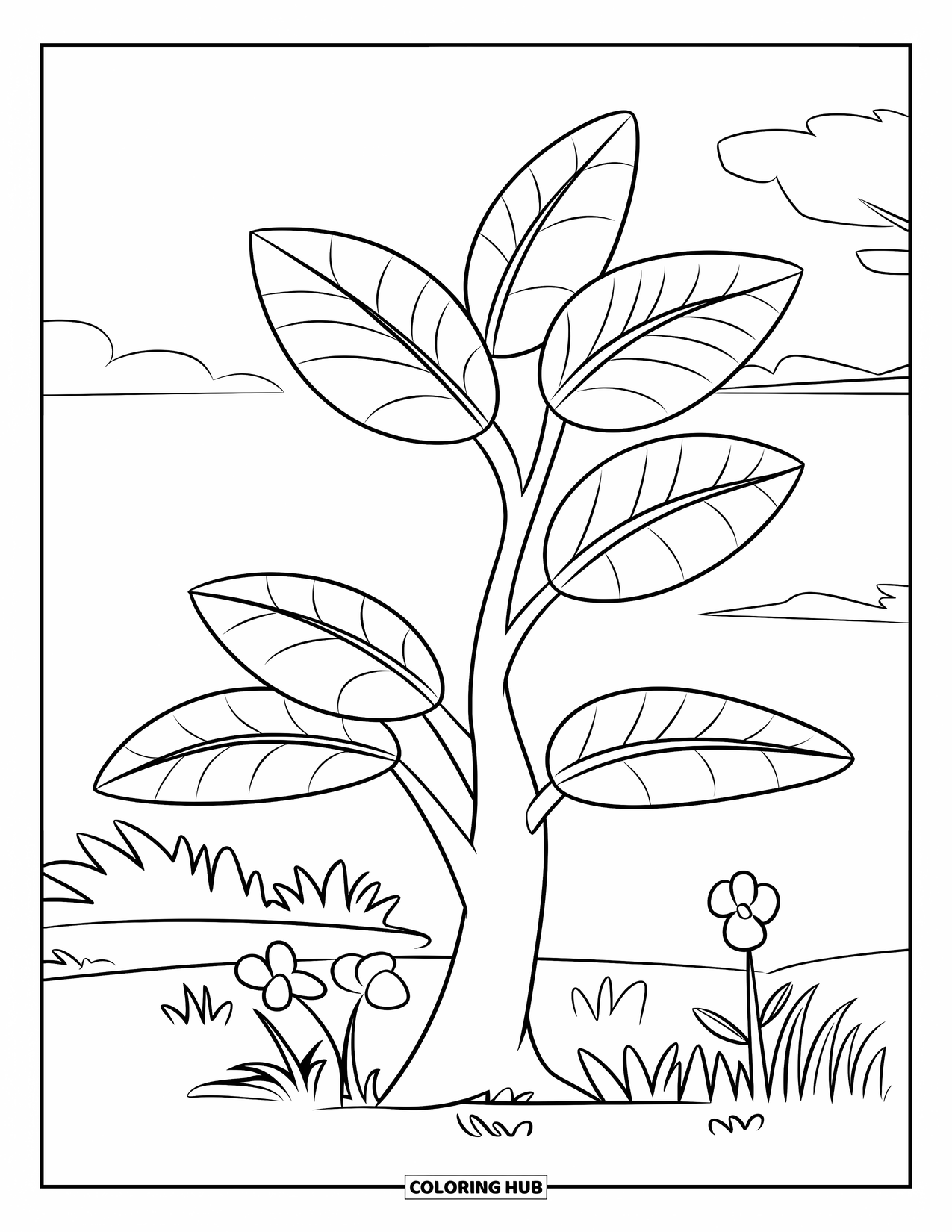 Desen de colorat cu copac pentru copii: Un copac cu cinci frunze mari, conturat pentru colorare ușoară, pe un teren cu iarbă cu flori în apropiere