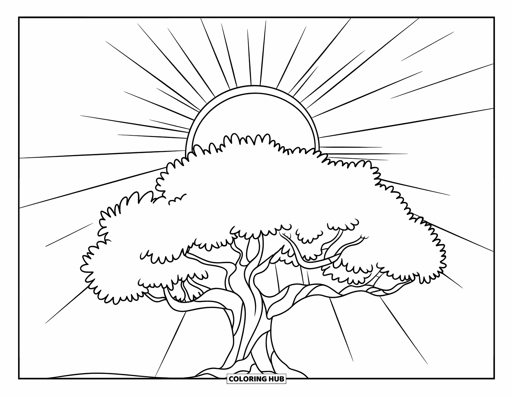 Desen de colorat cu copac pentru copii: Un copac cu raze de soare care strălucesc prin ramurile sale, cu câteva frunze și rădăcini