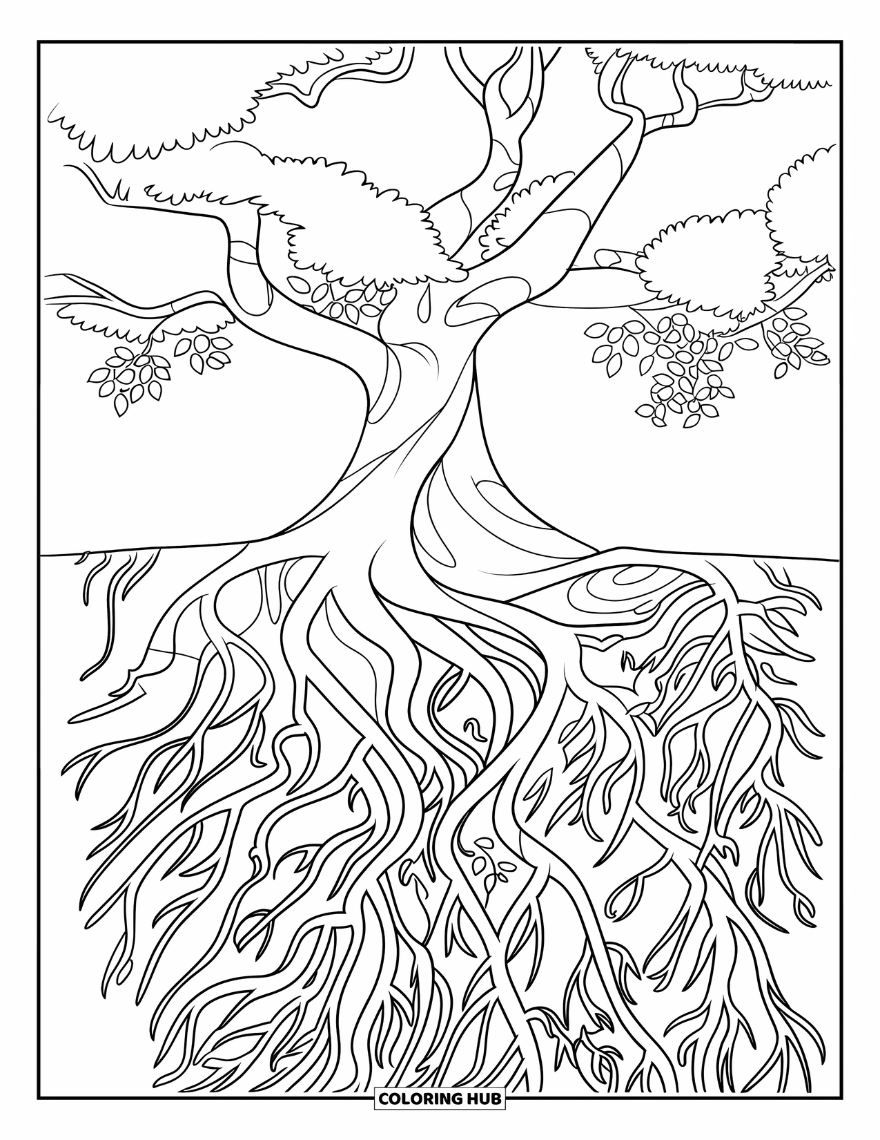 Desen de colorat cu copac pentru copii: Un copac cu rădăcini șerpuitoare care se întind spre exterior într-un design simplu