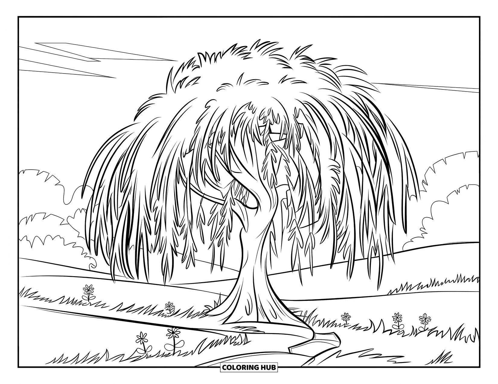 Desen de colorat cu copac pentru copii: Un salcie cu ramuri lungi și curgătoare, într-un câmp cu o potecă care duce spre el