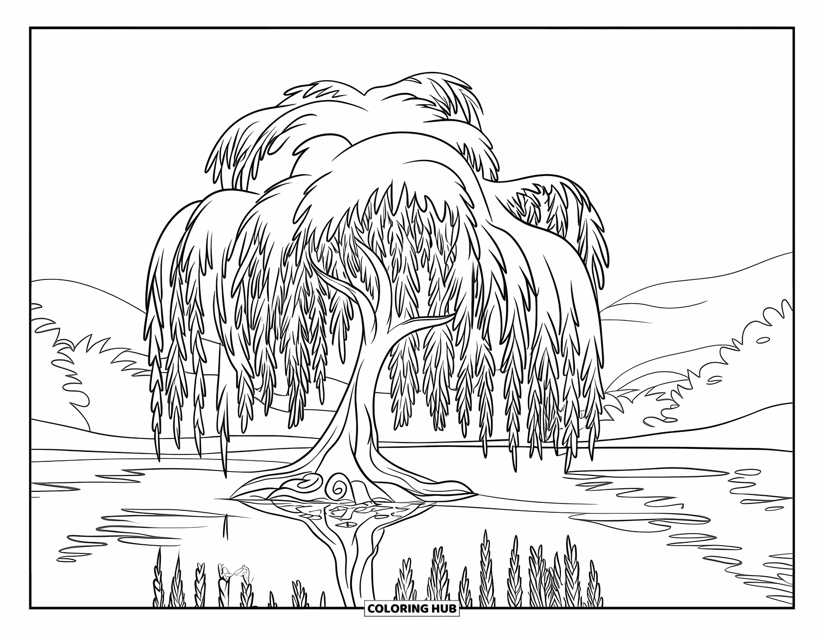 Desen de colorat cu copac pentru copii: Un salcie cu ramuri lungi și curgătoare, stând lângă un lac liniștit