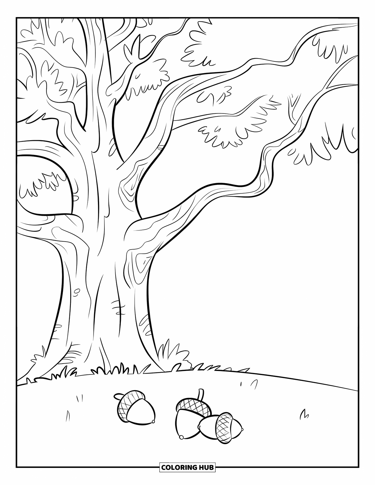 Desen de colorat cu copac pentru copii: Un stejar cu un trunchi robust și ghinde, sub un cer fără nori