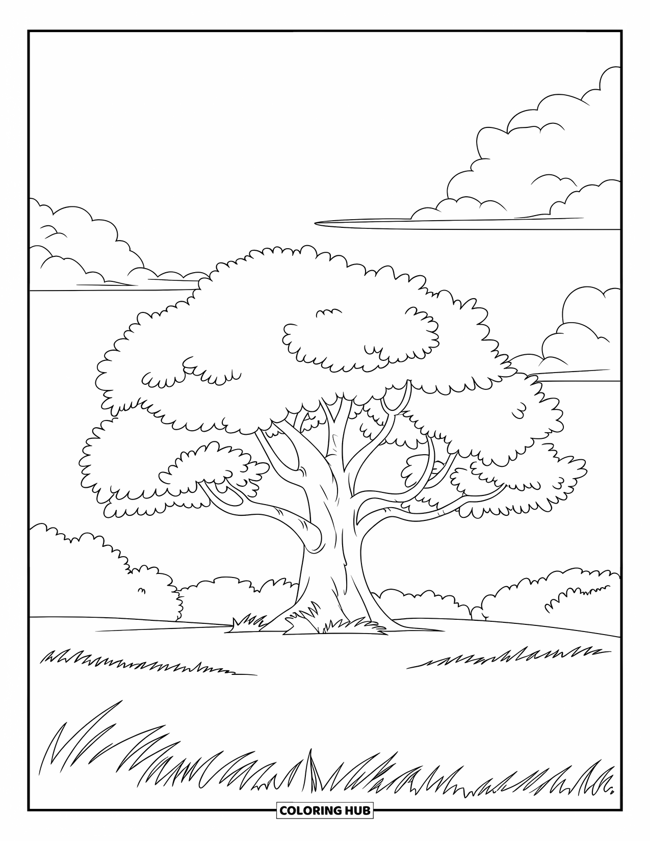 Desen de colorat cu copac pentru copii: Un stejar cu un trunchi lat și coroană rotunjită, într-un câmp cu iarbă cu un cer senin