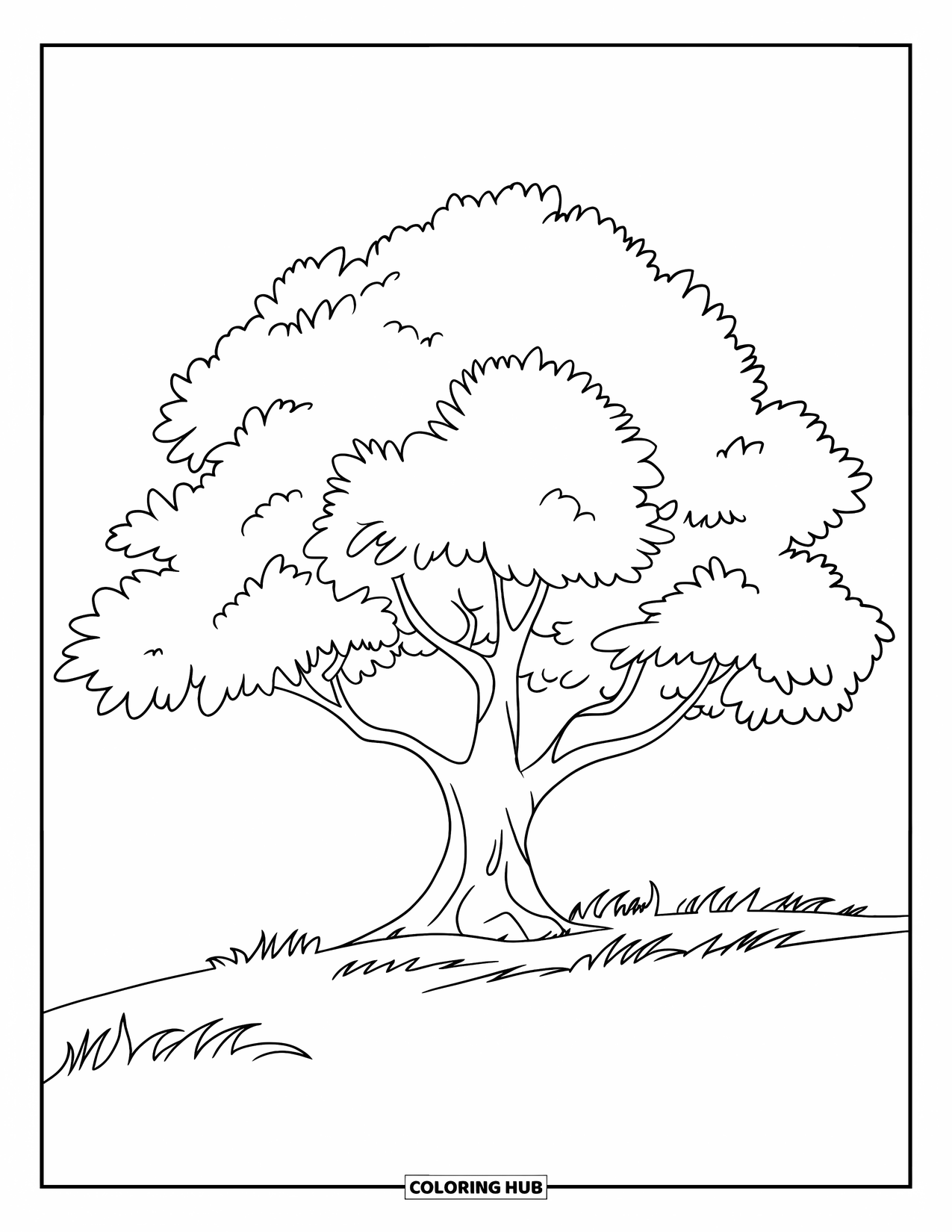 Desen de colorat cu copac pentru copii: Un stejar cu un trunchi lat și coroană rotunjită, situat într-un câmp cu iarbă