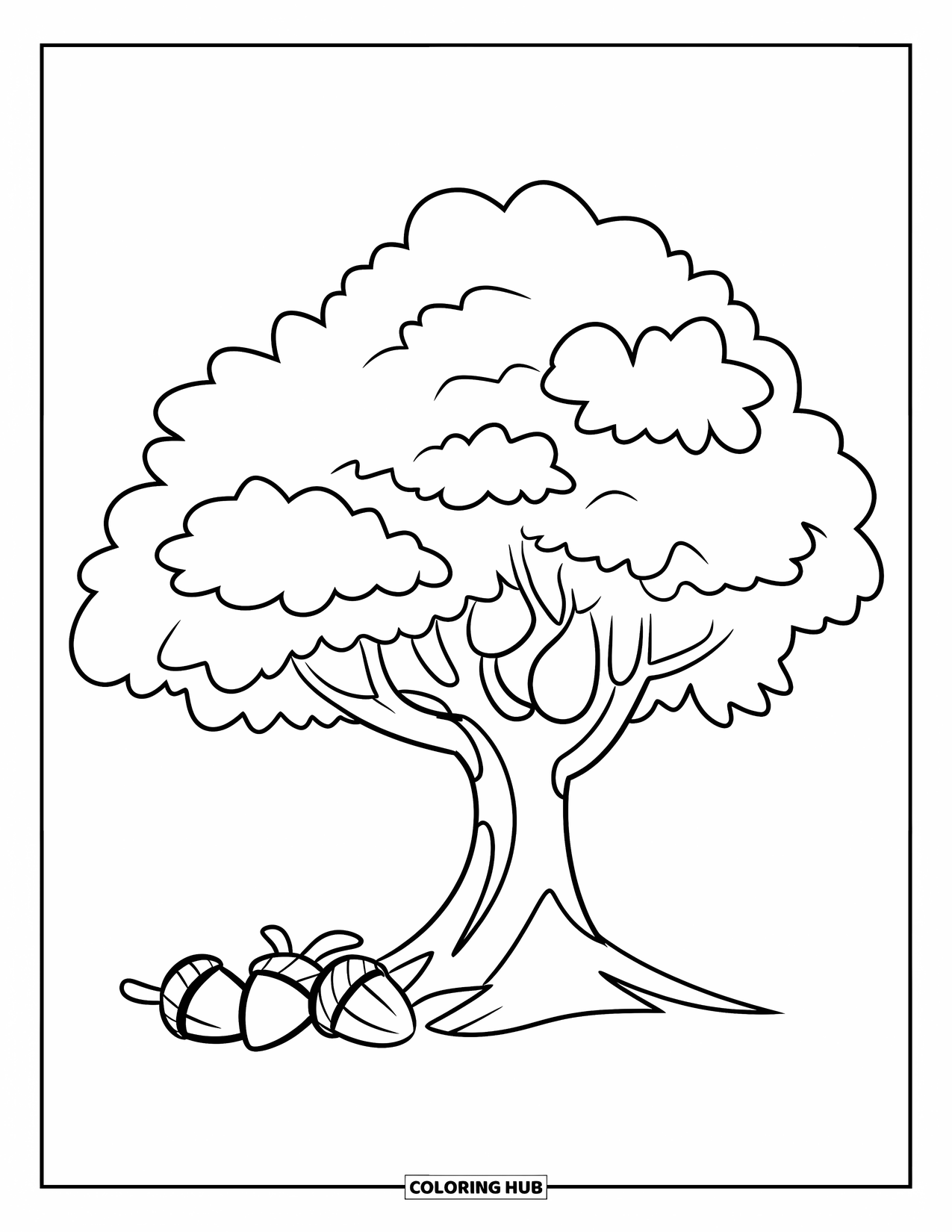Desen de colorat cu copac pentru copii: Un stejar cu un trunchi lat și coroană rotunjită, cu ghinde la bază