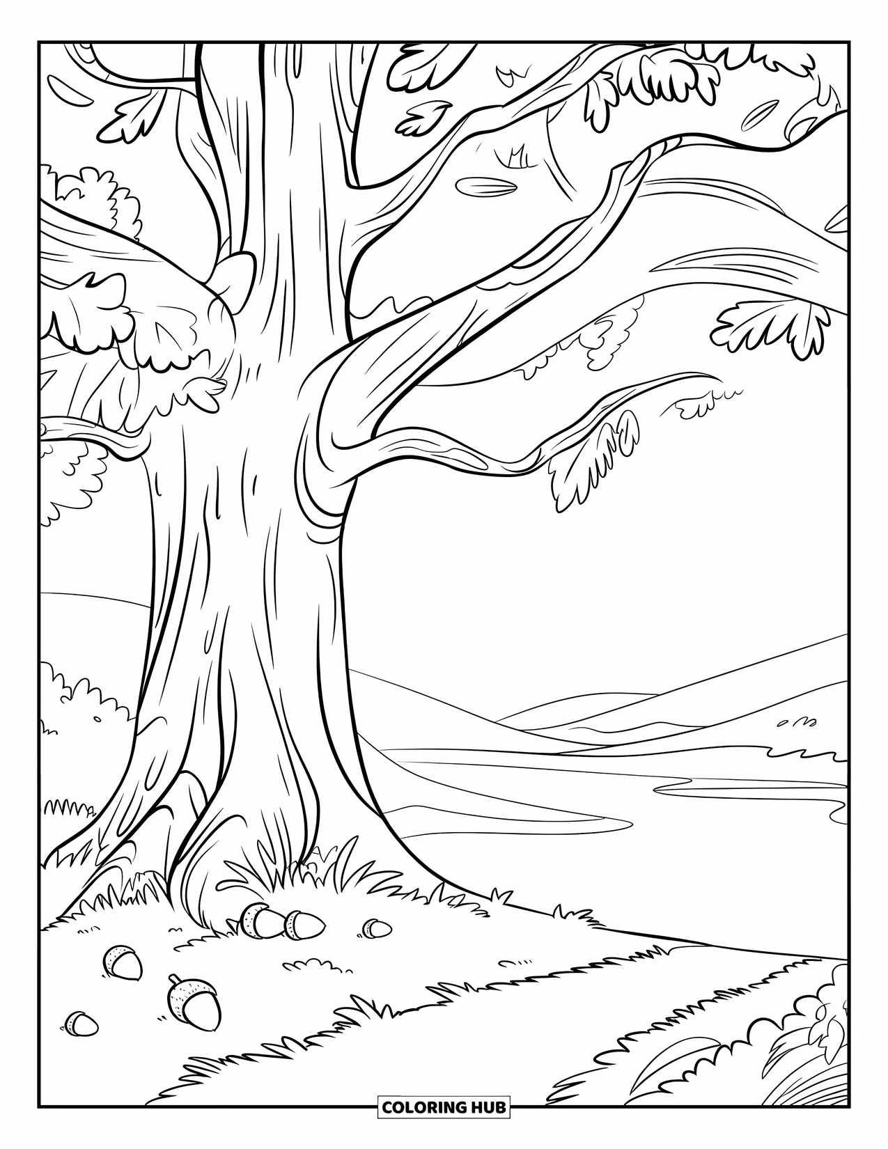 Desen de colorat cu copac pentru copii: Un stejar cu textură vizibilă a scoarței, ghinde pe pământ și un peisaj senin