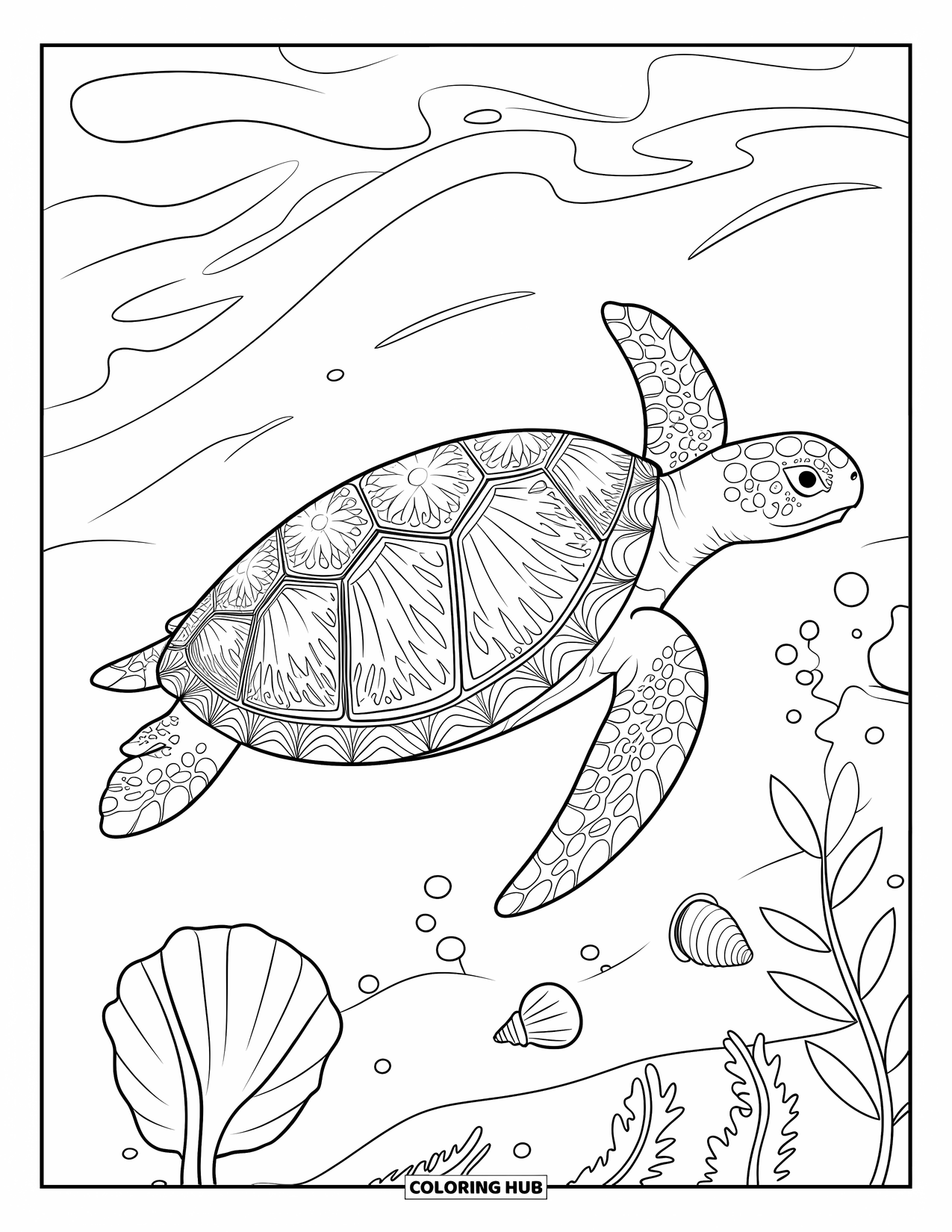 Kolorowanka z żółwiem dla dorosłych: Żółw z ozdobną skorupą przepływa obok muszelek i wodorostów w wodzie