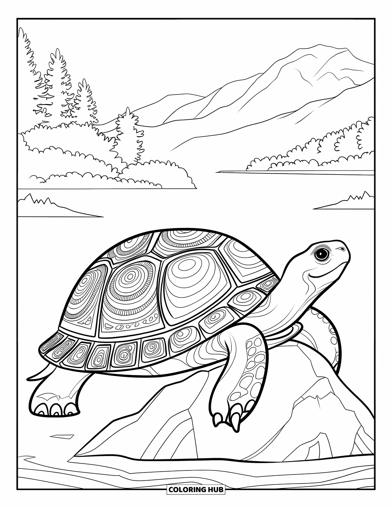 Kolorowanka z żółwiem dla dorosłych: Żółw ze skomplikowanymi wzorami spoczywa na skale w jeziorze z górami w tle