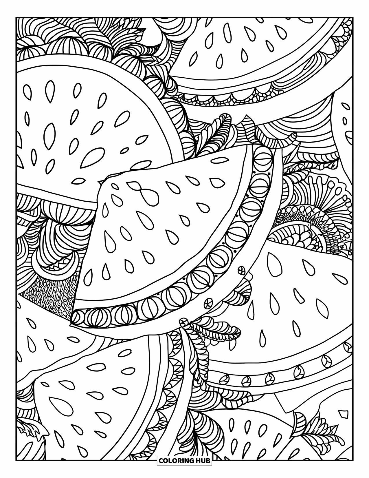 Watermeloen Kleurplaat voor Volwassenen: Een gedetailleerd watermeloenpatroon gevuld met wervelingen, wijnranken en artistiek lijnwerk