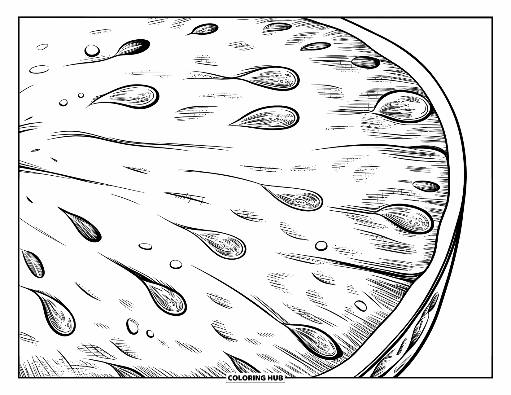 Watermeloen Kleurplaat voor Volwassenen: Een hypergedetailleerde close-up van een watermeloenpart met getextureerde pulp en delicate zaaddetails