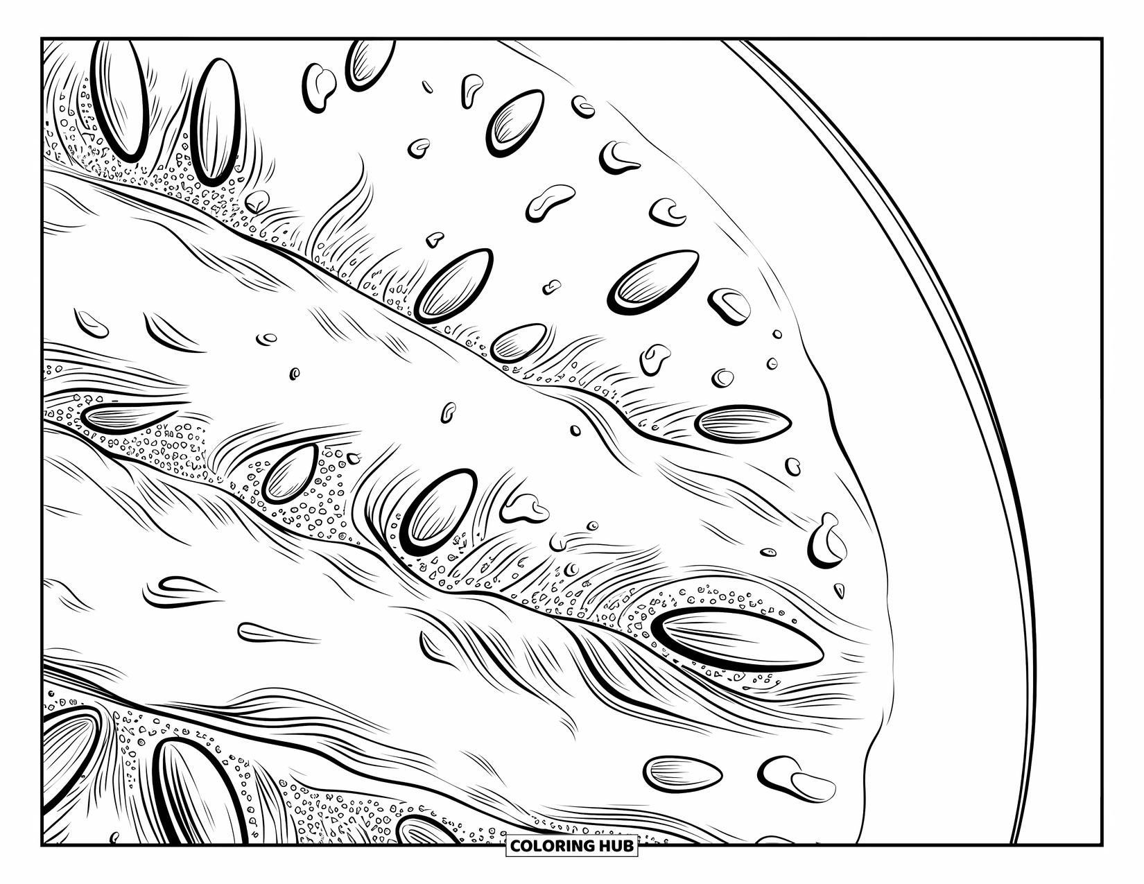 Watermeloen Kleurplaat voor Volwassenen: Een realistische close-up van een watermeloenpart, met ingewikkelde texturen en kleine waterdruppels