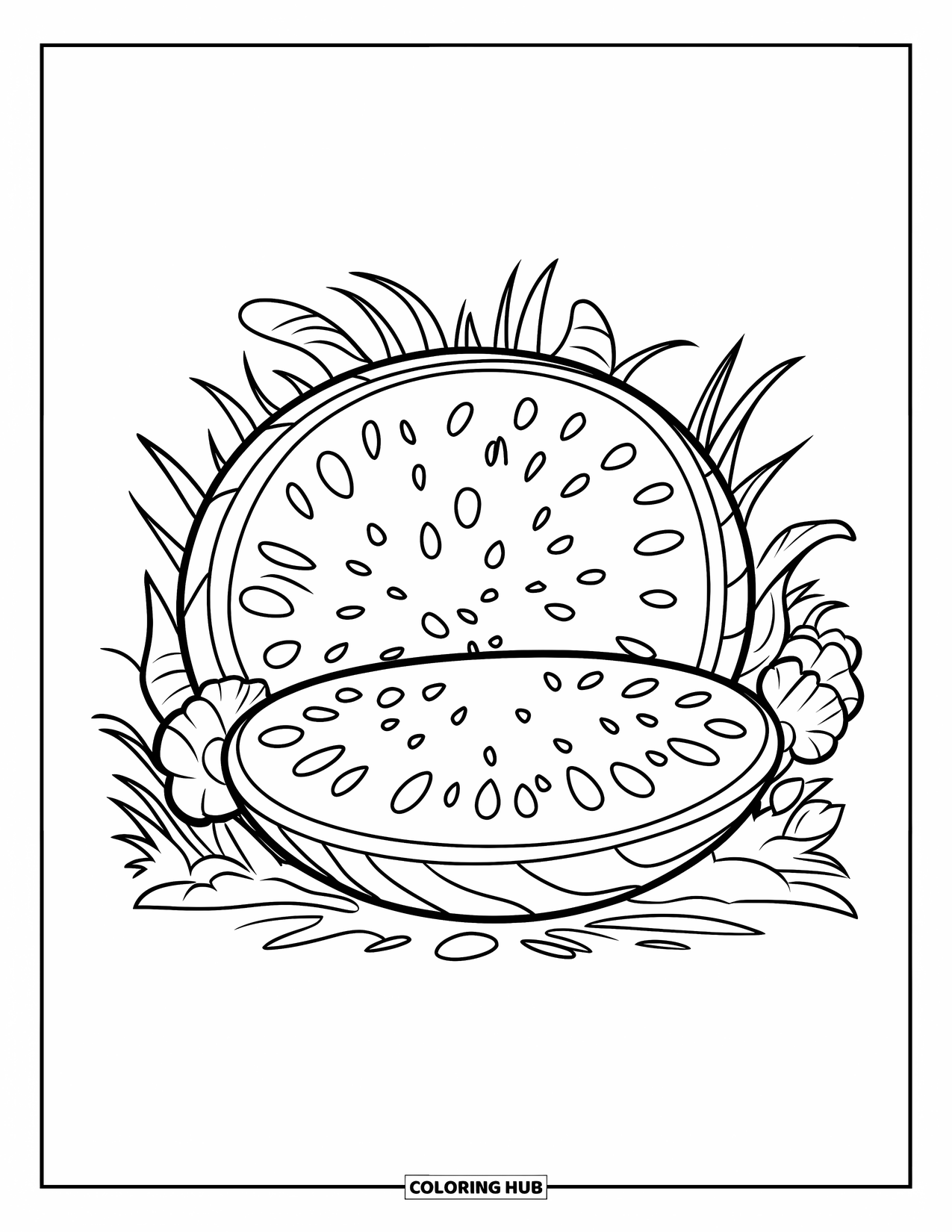 Watermeloen Kleurplaat voor Kinderen: Een gehalveerde watermeloen met zichtbare zaden en schil, rustend in het gras met bloemen eromheen