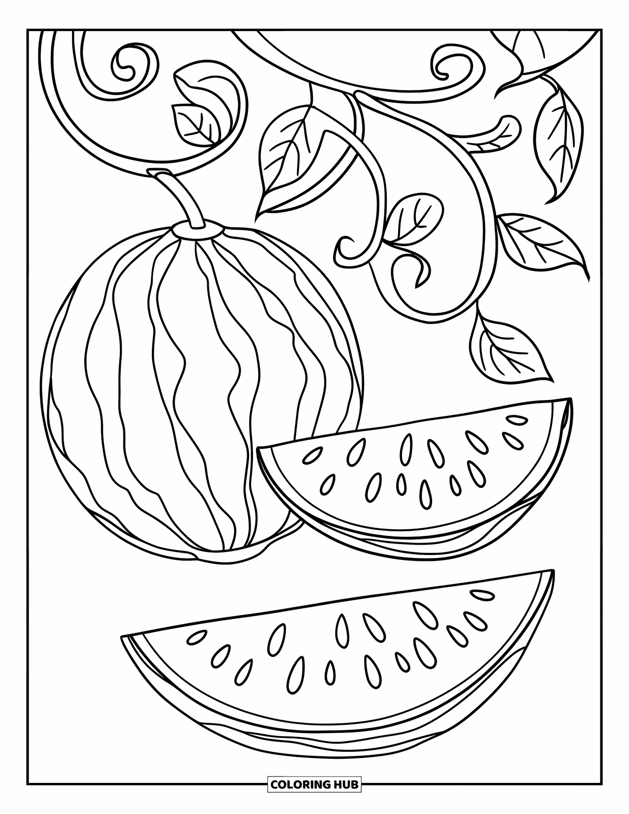 Watermeloen Kleurplaat voor Kinderen: Een kronkelende watermeloenrank met krullende ranken, bebladerde takken en twee hangende watermeloenen