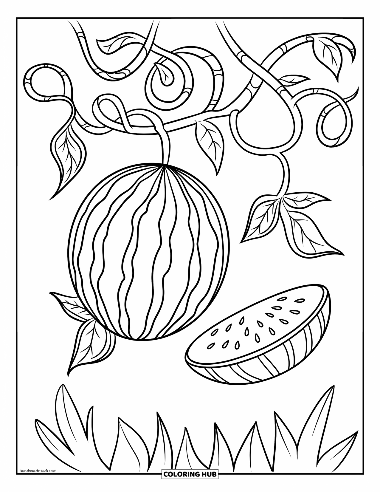 Watermeloen Kleurplaat voor Kinderen: Een watermeloenrank met krullende ranken en bladeren, met een hele en een gesneden watermeloen