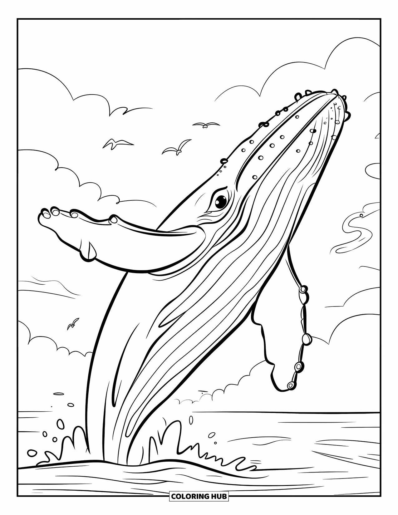 Kolorowanka z wielorybem dla dzieci: Humbak wyłania się z wody, a jego ciało wygina się, gdy ptaki morskie przelatują nad głową