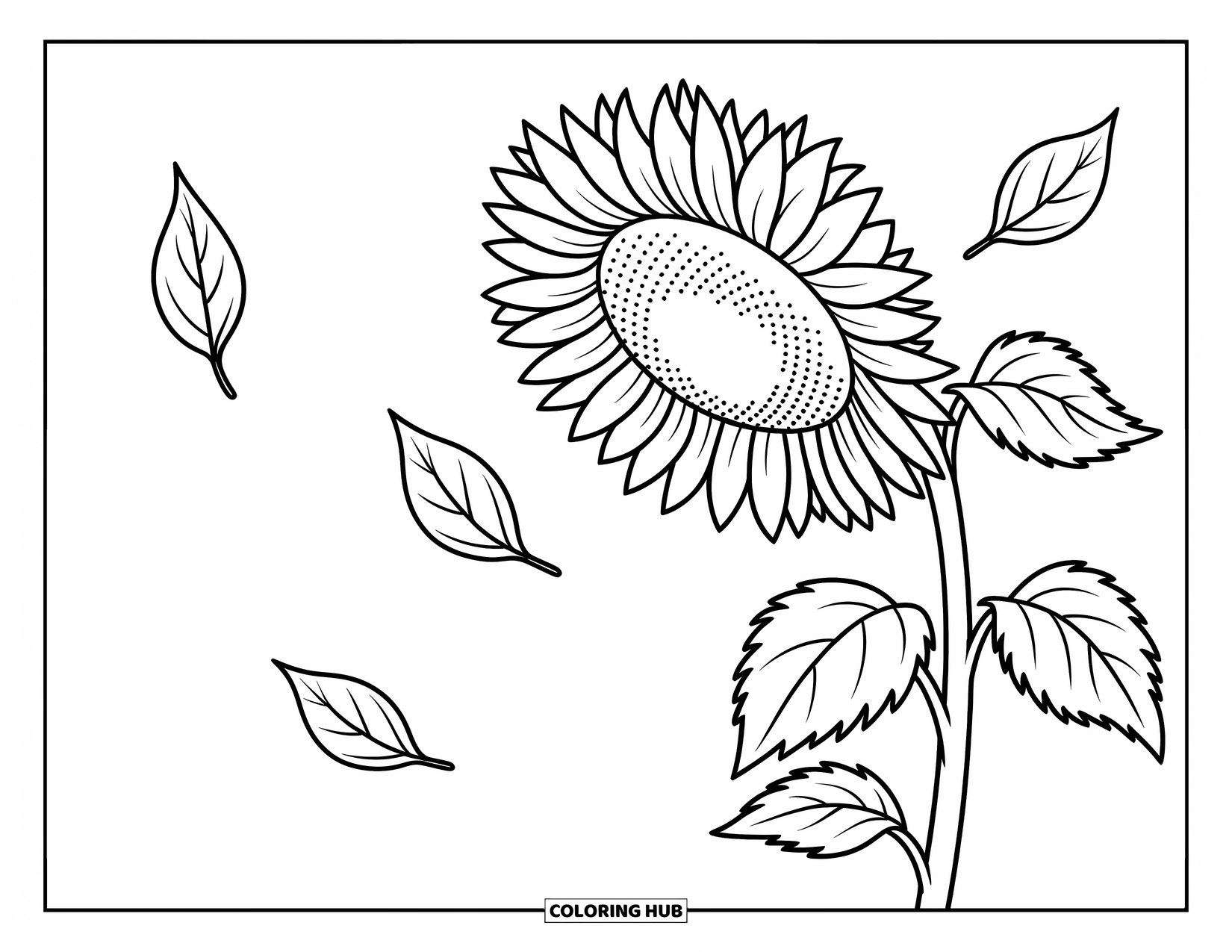 Coloriage d'automne pour enfants : Un grand tournesol avec des pétales s'étendant et des feuilles dérivant vers le bas