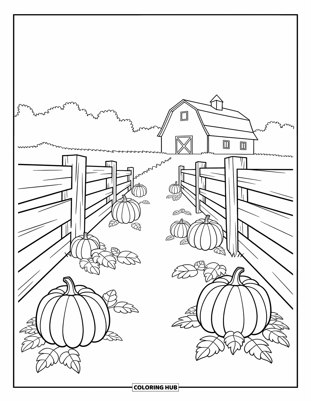 Coloriage d'automne pour enfants : Une clôture en bois mène à un champ de citrouilles avec une grange au loin