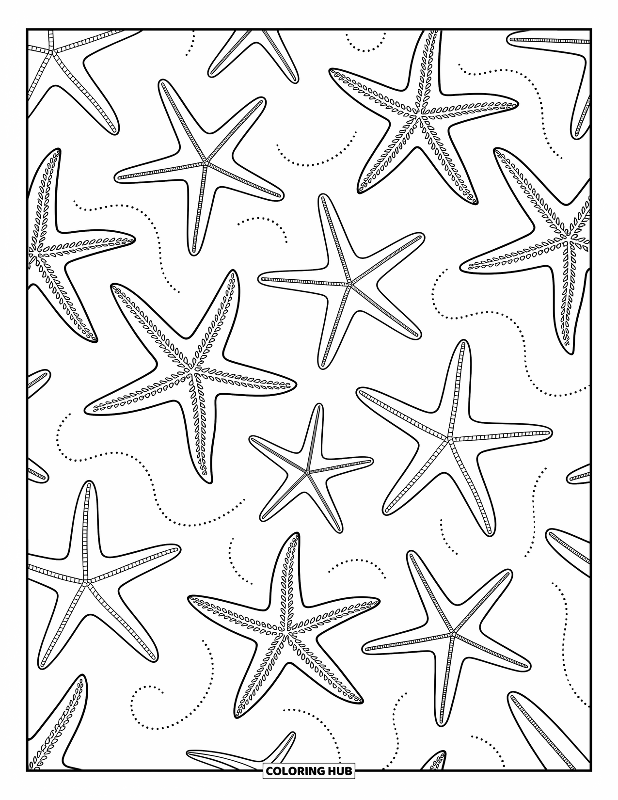 Desenho de Praia para Colorir para Adultos: Uma coleção de estrelas-do-mar decorativas em um padrão oceânico lindamente detalhado