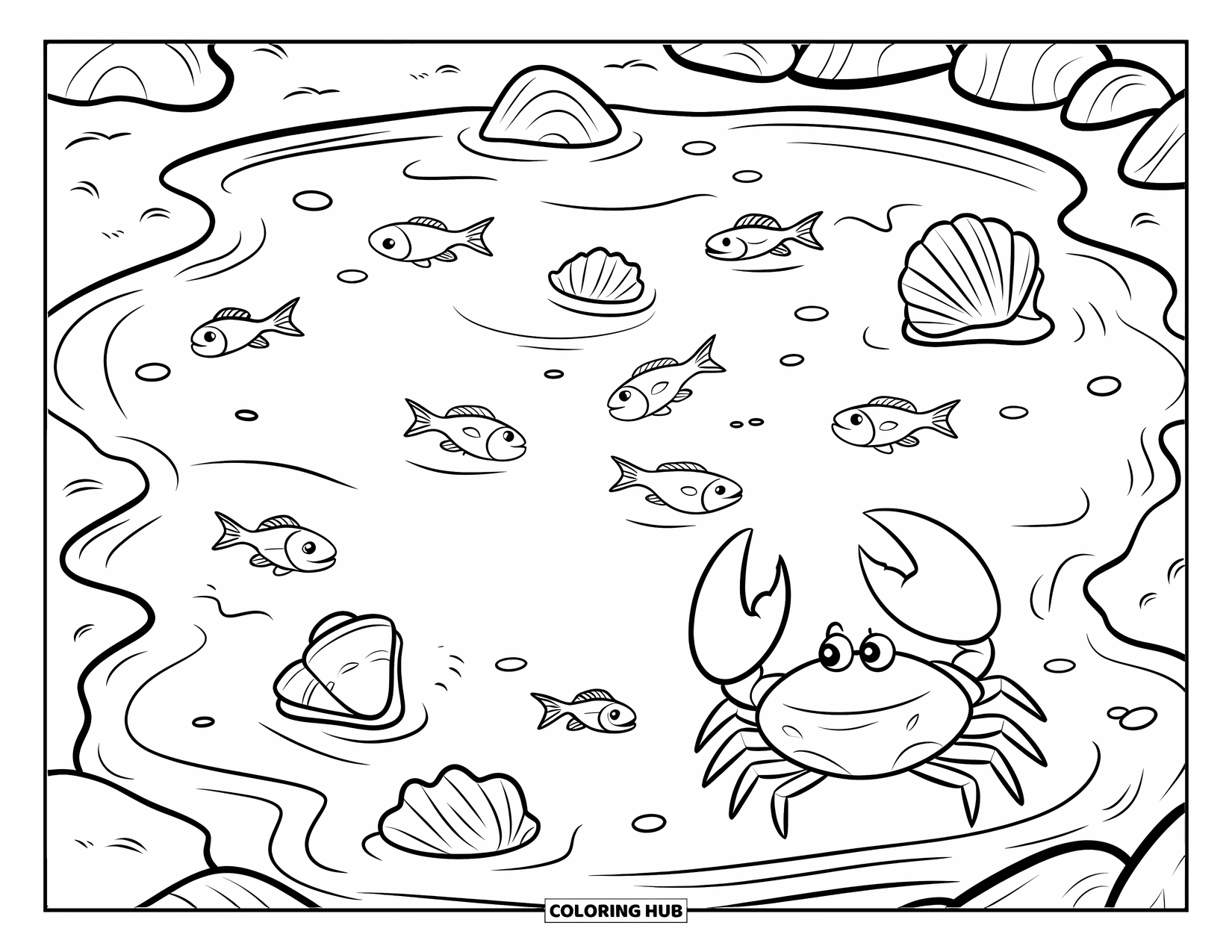 Desenho de Praia para Colorir para Crianças: Uma pequena poça de maré com conchas, pequenos peixes e um caranguejo explorando a água