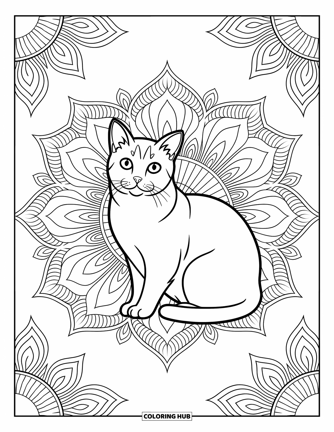 Dibujo de gato para colorear para adultos: Un gato Scottish Fold tranquilo se sienta dentro de un mandala, enmarcado por patrones elegantes e intrincados y diseños delicados