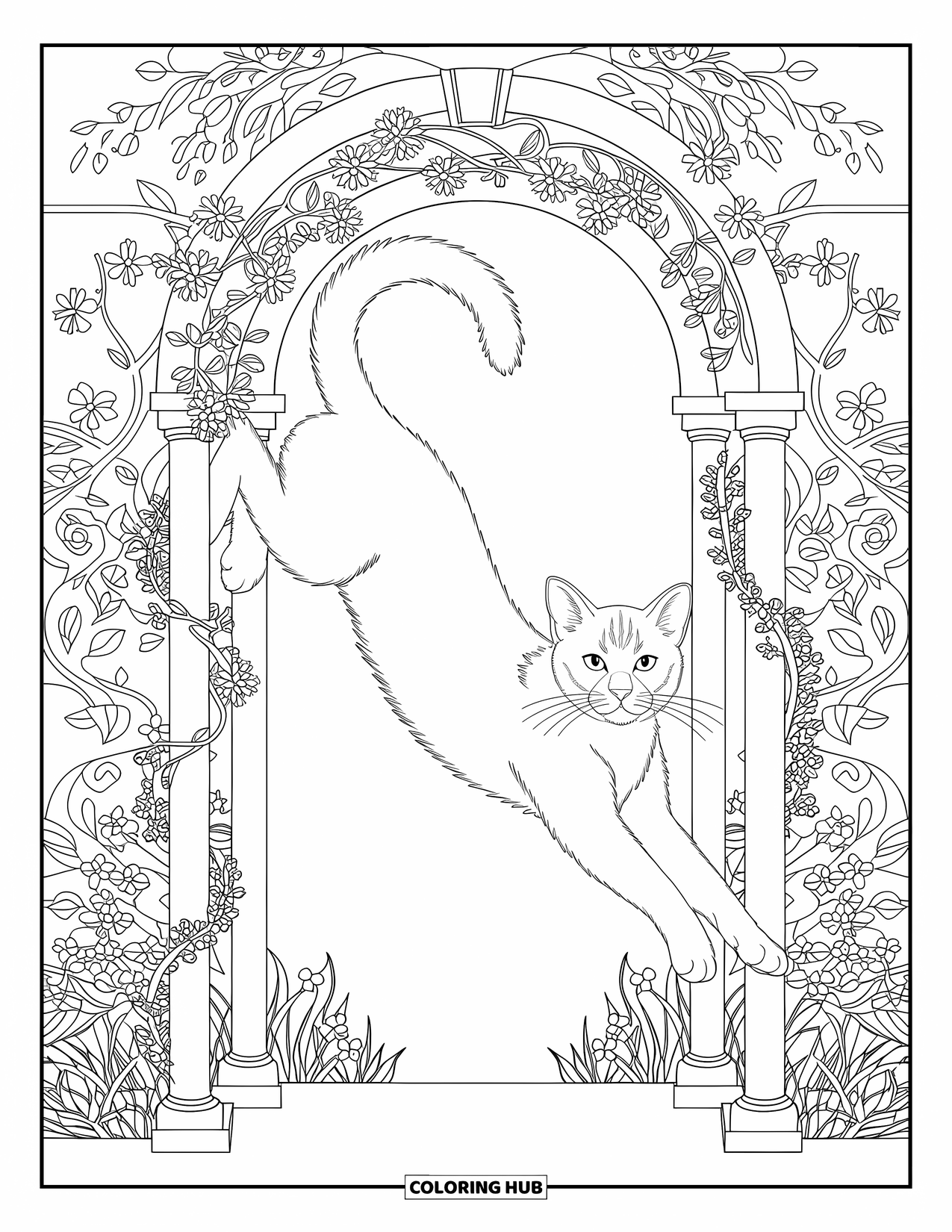 Dibujo de gato para colorear para adultos: Un gato elegante se estira debajo de un arco de jardín, rodeado de enredaderas entrelazadas y flores florecientes