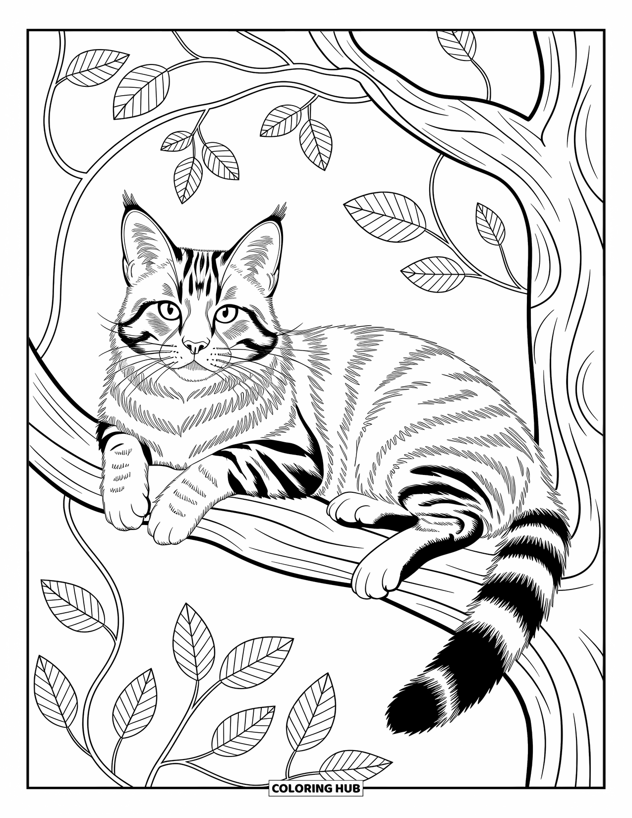 Dibujo de gato para colorear para adultos: Un majestuoso Maine Coon descansa en la rama de un árbol, enmarcado por elegantes hojas y patrones de enredaderas arremolinadas