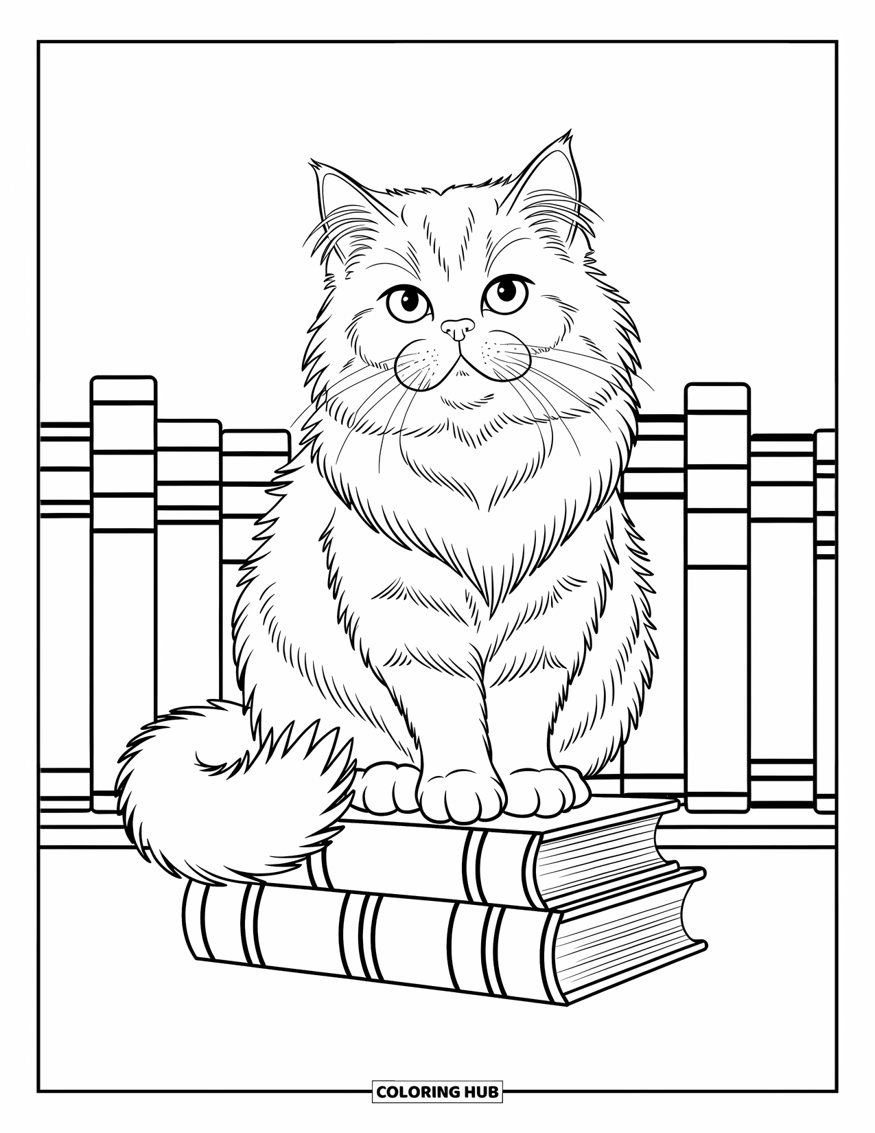 Dibujo de gato para colorear para niños: Un gato esponjoso se sienta con gracia en un estante de libros antiguos, con patrones delicados que añaden encanto a la escena