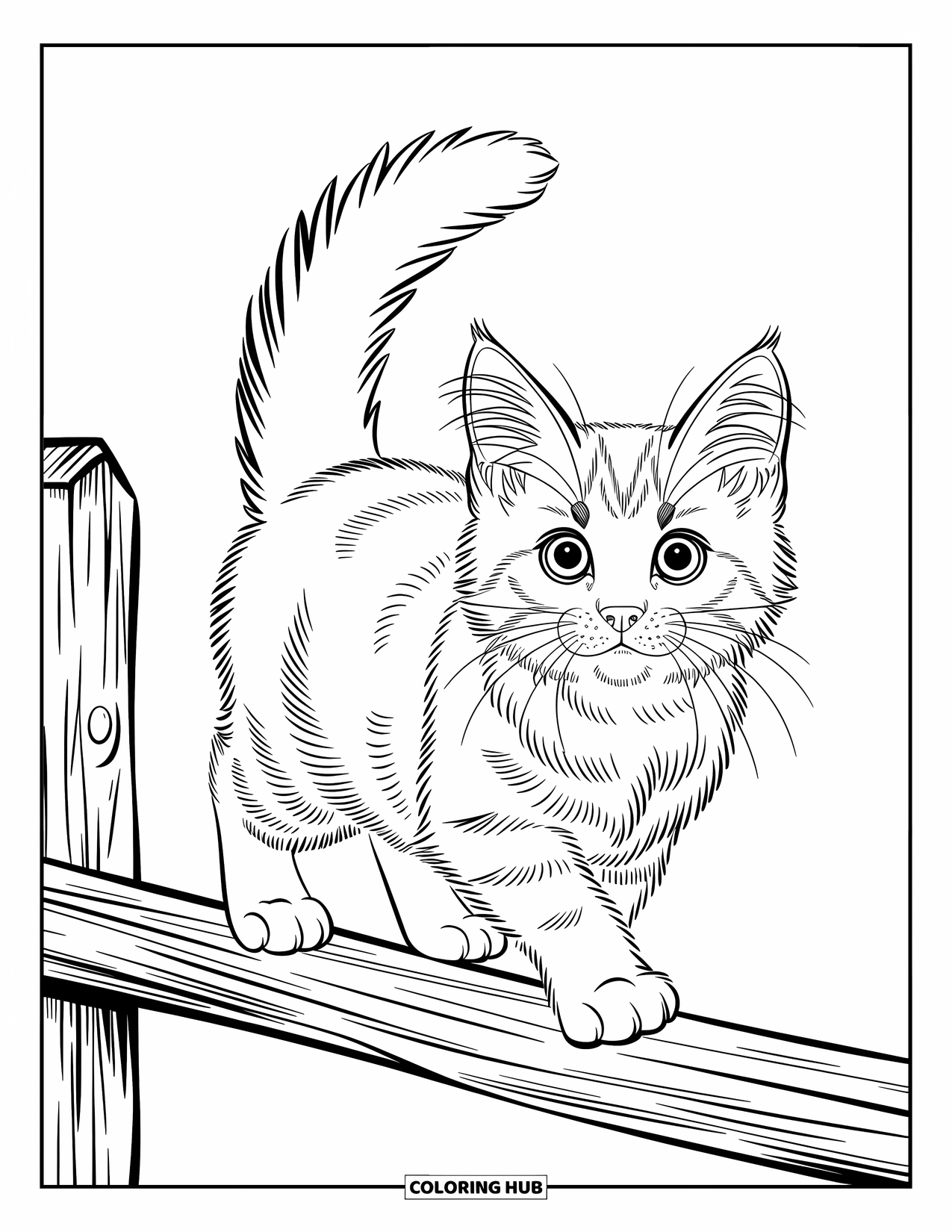Dibujo de gato para colorear para niños: Un gatito esponjoso brinca a través de una cerca, con su cola levantada en alto con curiosidad y alegría
