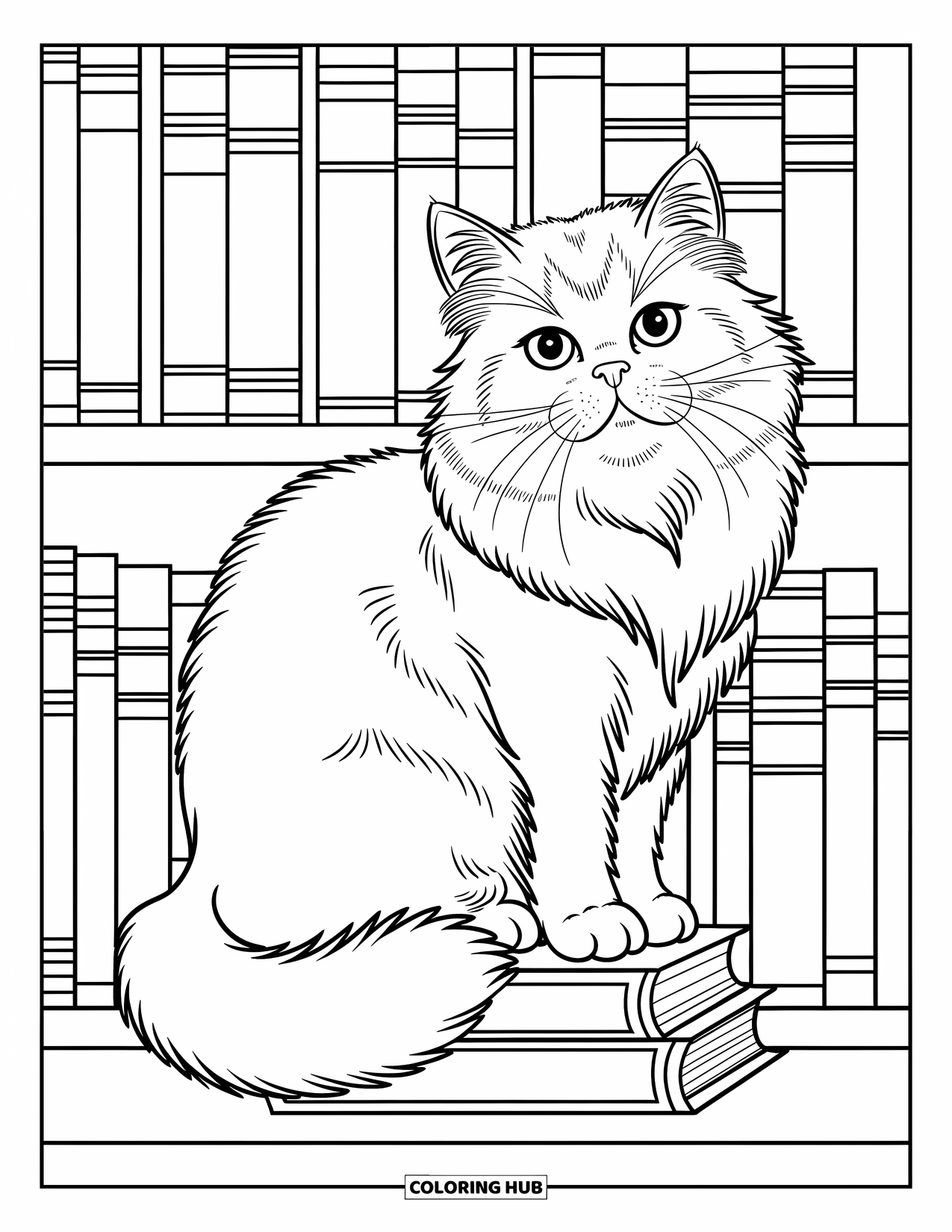 Dibujo de gato para colorear para niños: Un gato persa esponjoso descansa en una estantería, su cola se enrosca alrededor de libros antiguos en un entorno acogedor