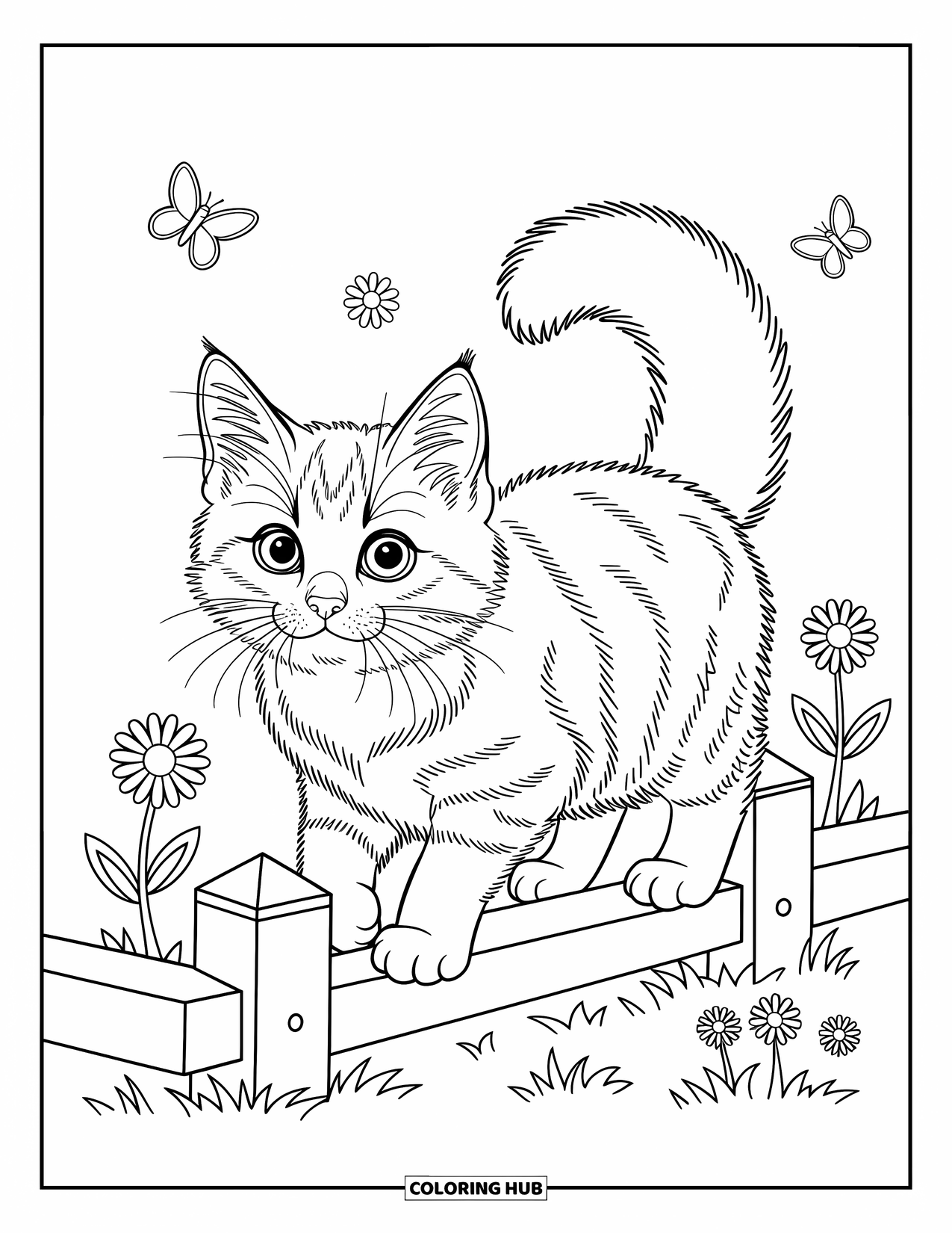 Dibujo de gato para colorear para niños: Un gatito Maine Coon se equilibra con gracia en una cerca rústica, enmarcado por detalles florales simples