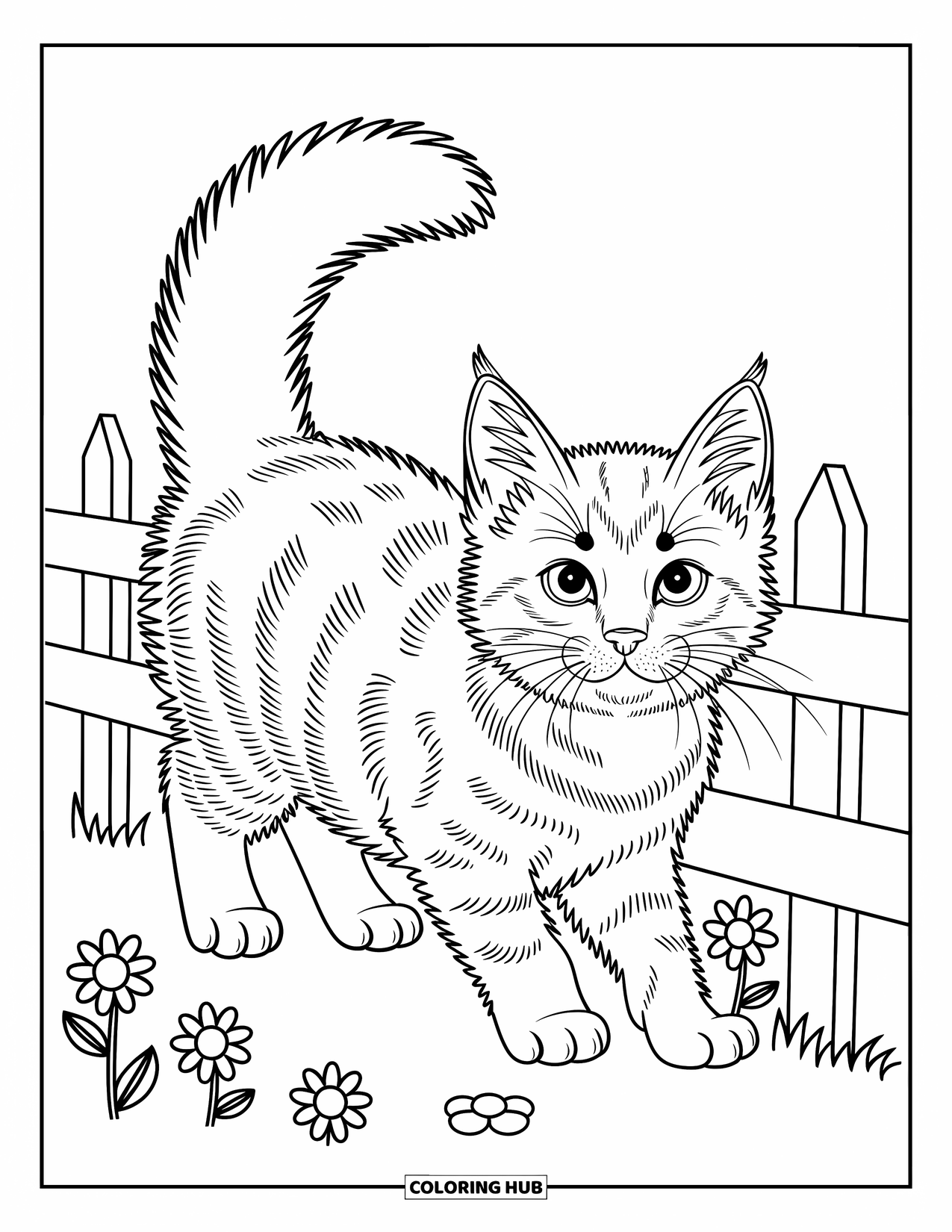 Dibujo de gato para colorear para niños: Un gatito Maine Coon camina a lo largo de una cerca de madera, rodeado de flores y hojas caprichosas