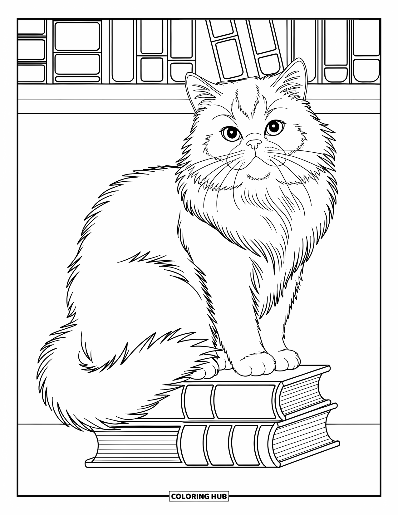 Dibujo de gato para colorear para niños: Un gato persa se sienta encima de una estantería, rodeado de los lomos intrincados de libros antiguos, bellamente detallados