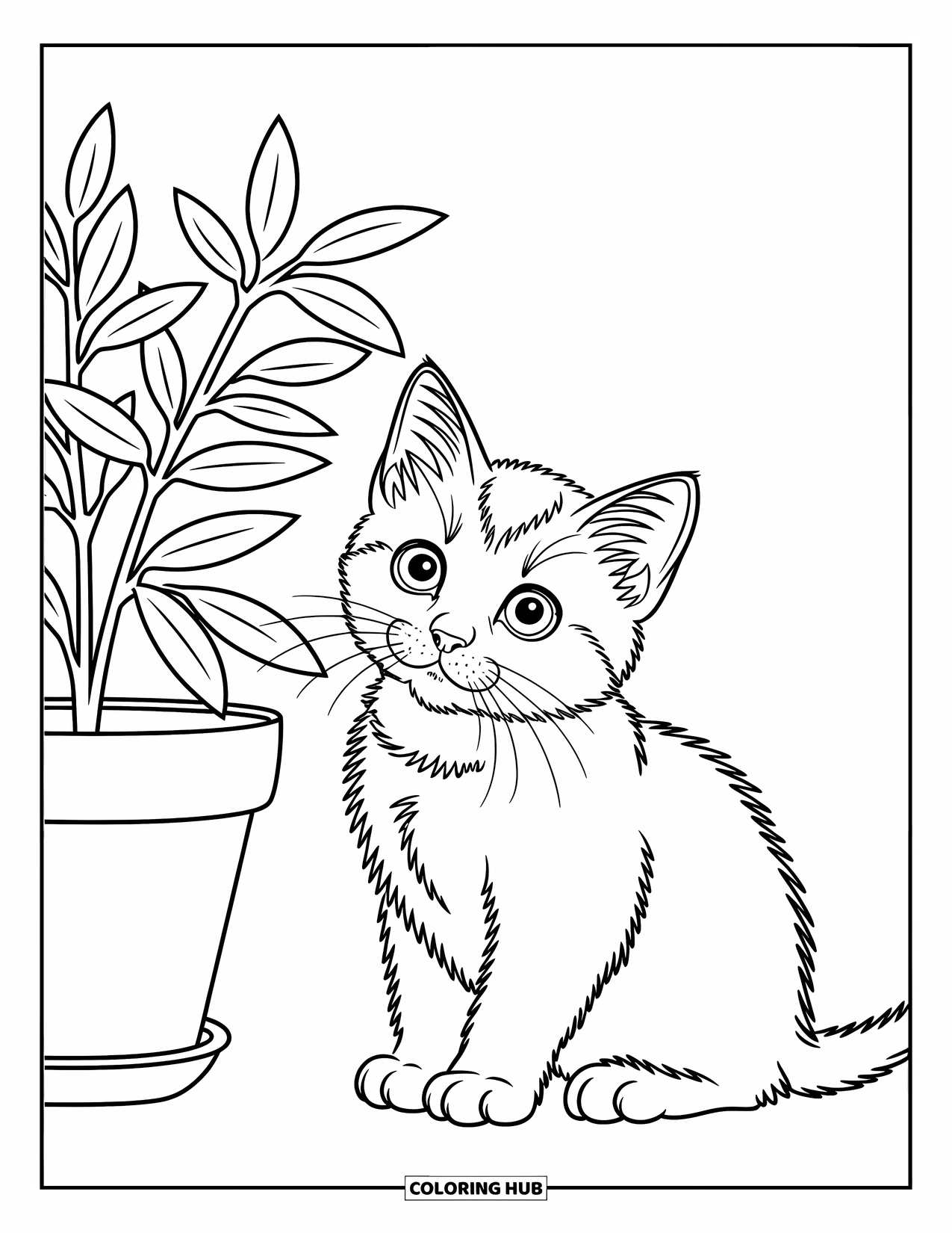Dibujo de gato para colorear para niños: Un gatito Scottish Fold olisquea con curiosidad una planta en maceta, su cola esponjosa se enrosca alrededor de sus patas