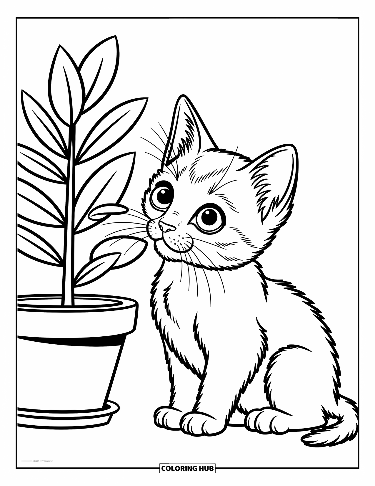 Dibujo de gato para colorear para niños: Un pequeño gatito con orejas dobladas se sienta junto a una planta en maceta, con su nariz cerca de las hojas delicadas