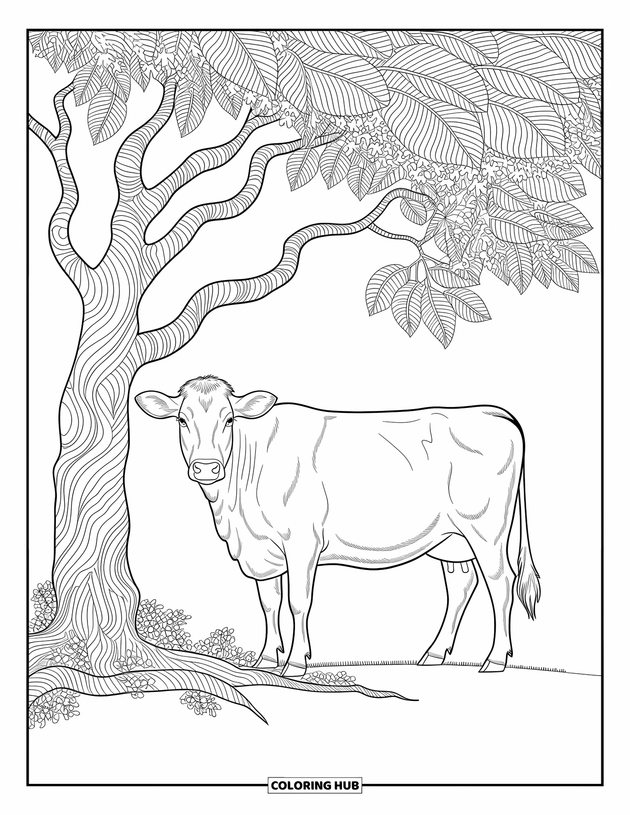 Disegno da colorare di una mucca per adulti: una mucca con motivi paisley si erge con grazia circondata da design intricati