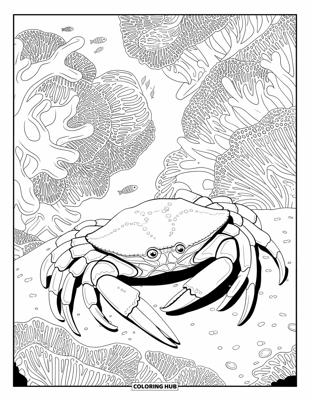 Krabben-Ausmalbild für Erwachsene: Eine Krabbe ruht auf einem felsigen Korallenriff, während kleine Fische in der Nähe schwimmen
