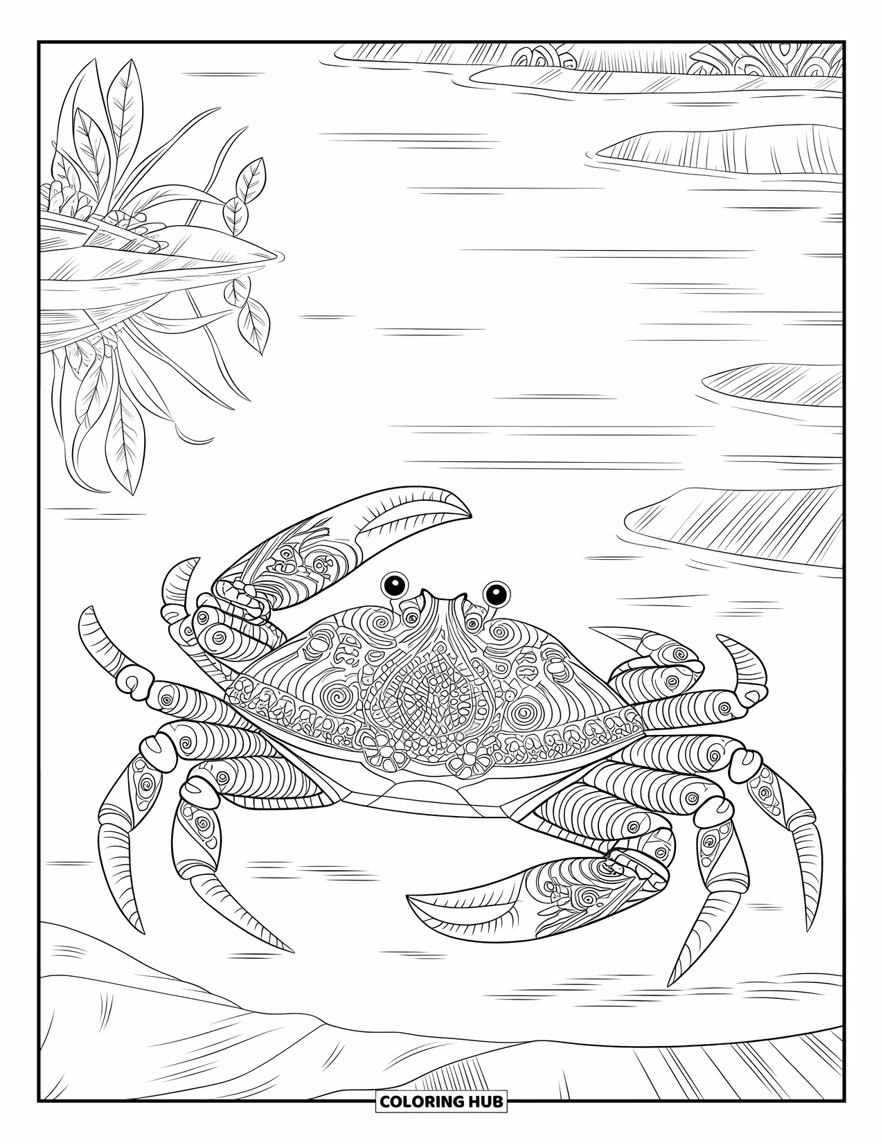 Krabben-Ausmalbild für Erwachsene: Eine Krabbe mit wirbelnden Mustern sitzt auf Felsen an stillem Wasser und verstreuten Pflanzen