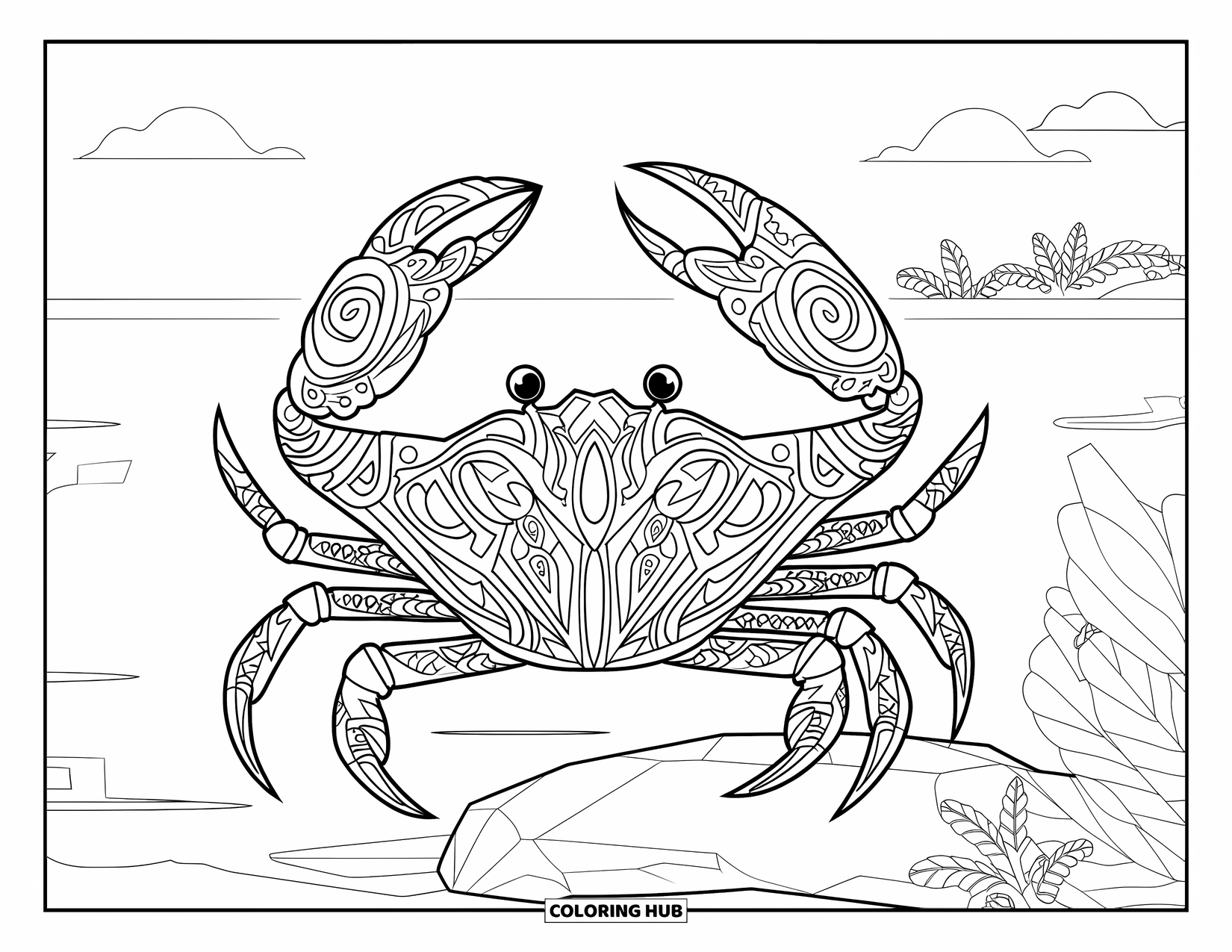 Krabben-Ausmalbild für Erwachsene: Eine gemusterte Krabbe sitzt in der Nähe des Ufers mit Pflanzen und Wolken in einer friedlichen Umgebung
